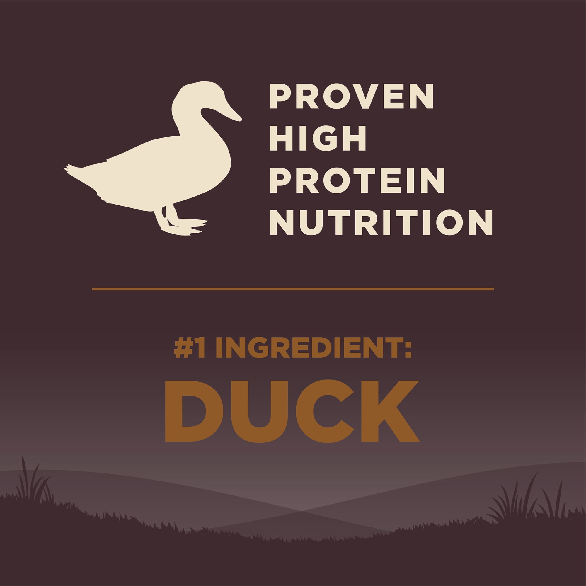 Wellness CORE Natural Grain Free Dry Dog Food, Wild Game Duck, Lamb Meal, Wild Boar & Rabbit, 26-Pound Bag - Image 6