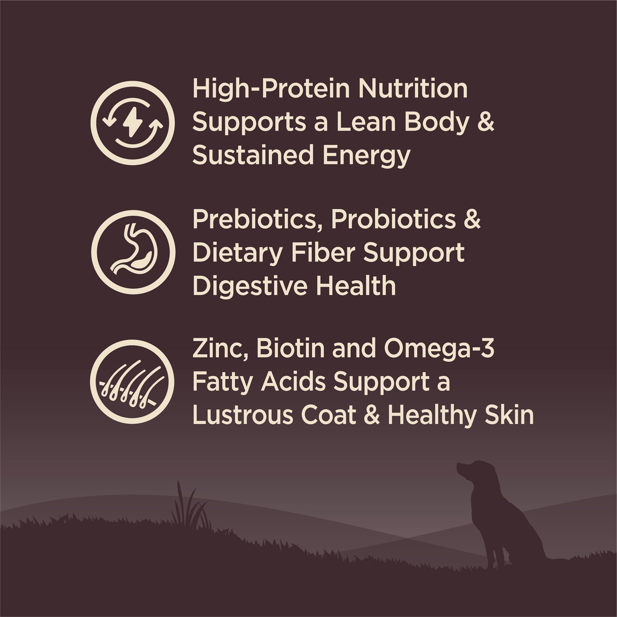 Wellness CORE Dry Dog Food, Grain Free, High Protein, Natural, Original Turkey & Chicken Recipe, (26-Pound Bag) - Image 3