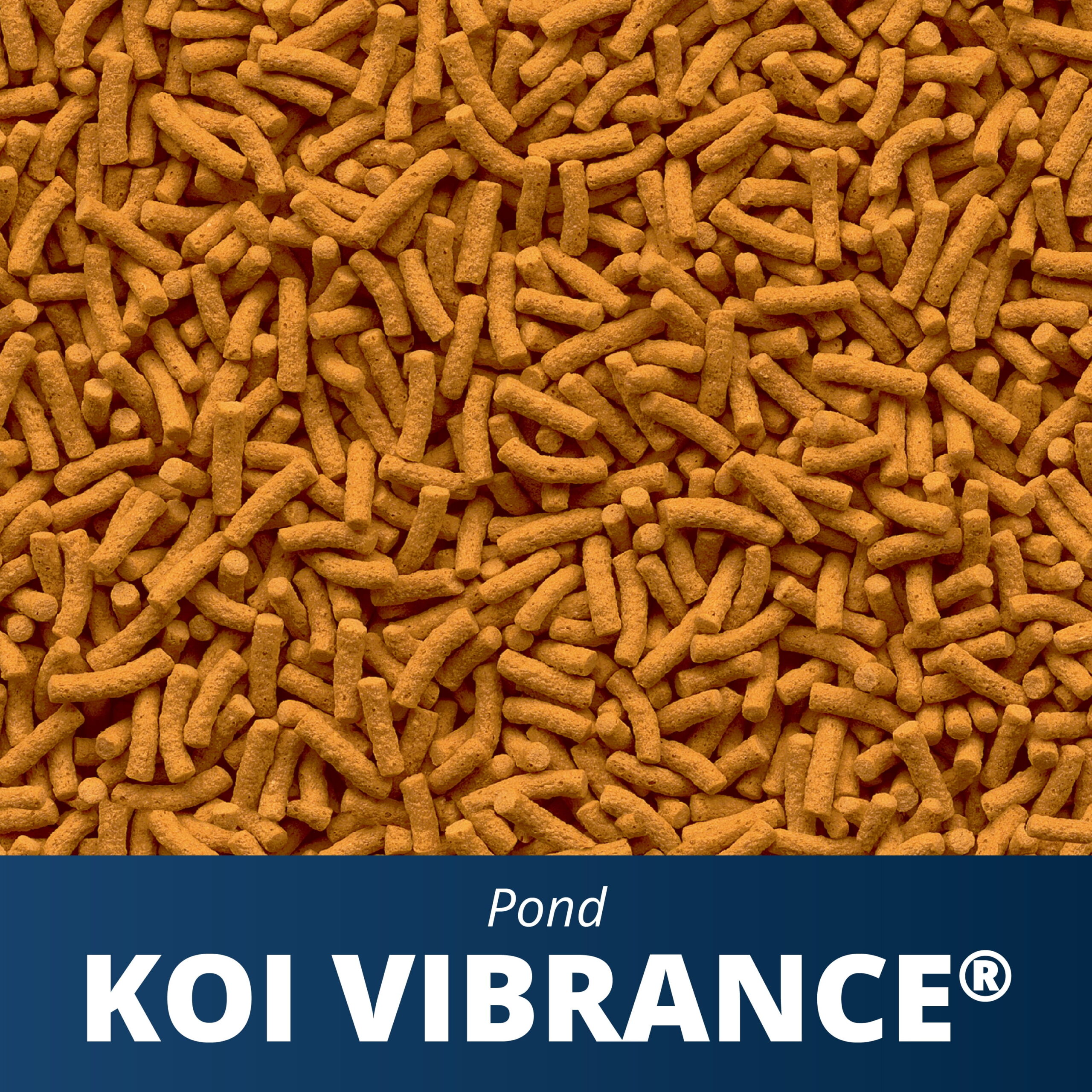 Tetra Pond Koi Vibrance Color Enhancing Floating Pond Fish Food, 16.5 lbs - Image 2