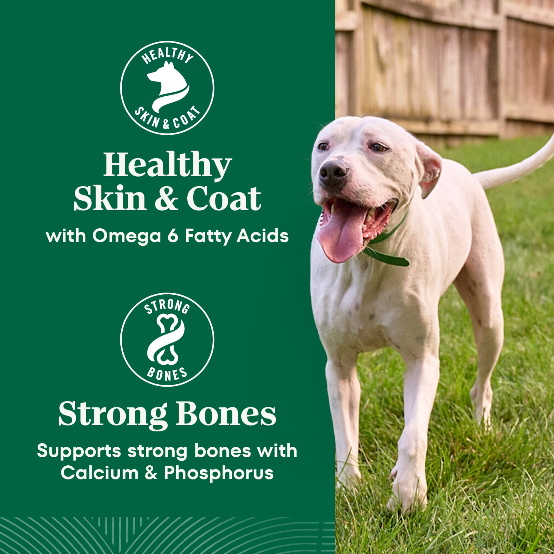 Nutro Natural Choice Large Breed Healthy Weight Dog Food Recipe Chicken & Brown Rice, 30 Lb Bag - Image 7