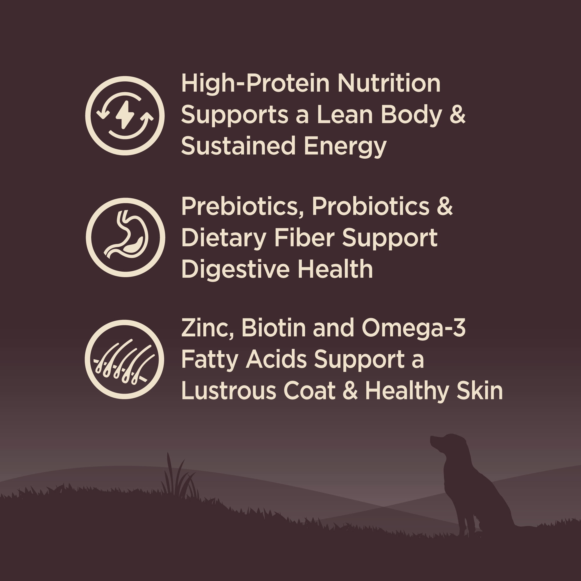 Wellness CORE Dry Dog Food, Grain Free, High Protein, Natural, Ocean Whitefish, Herring, & Salmon Recipe, (26-Pound Bag) - Image 4