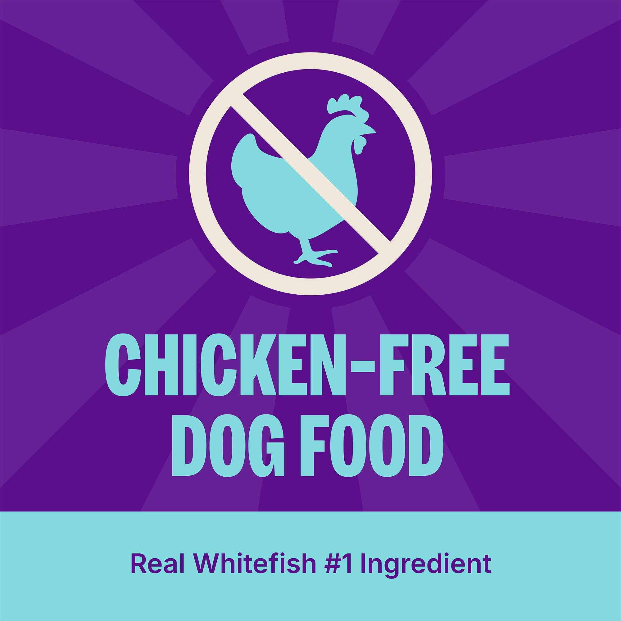 Wellness CORE Dry Dog Food, Grain Free, High Protein, Natural, Ocean Whitefish, Herring, & Salmon Recipe, (26-Pound Bag) - Image 3