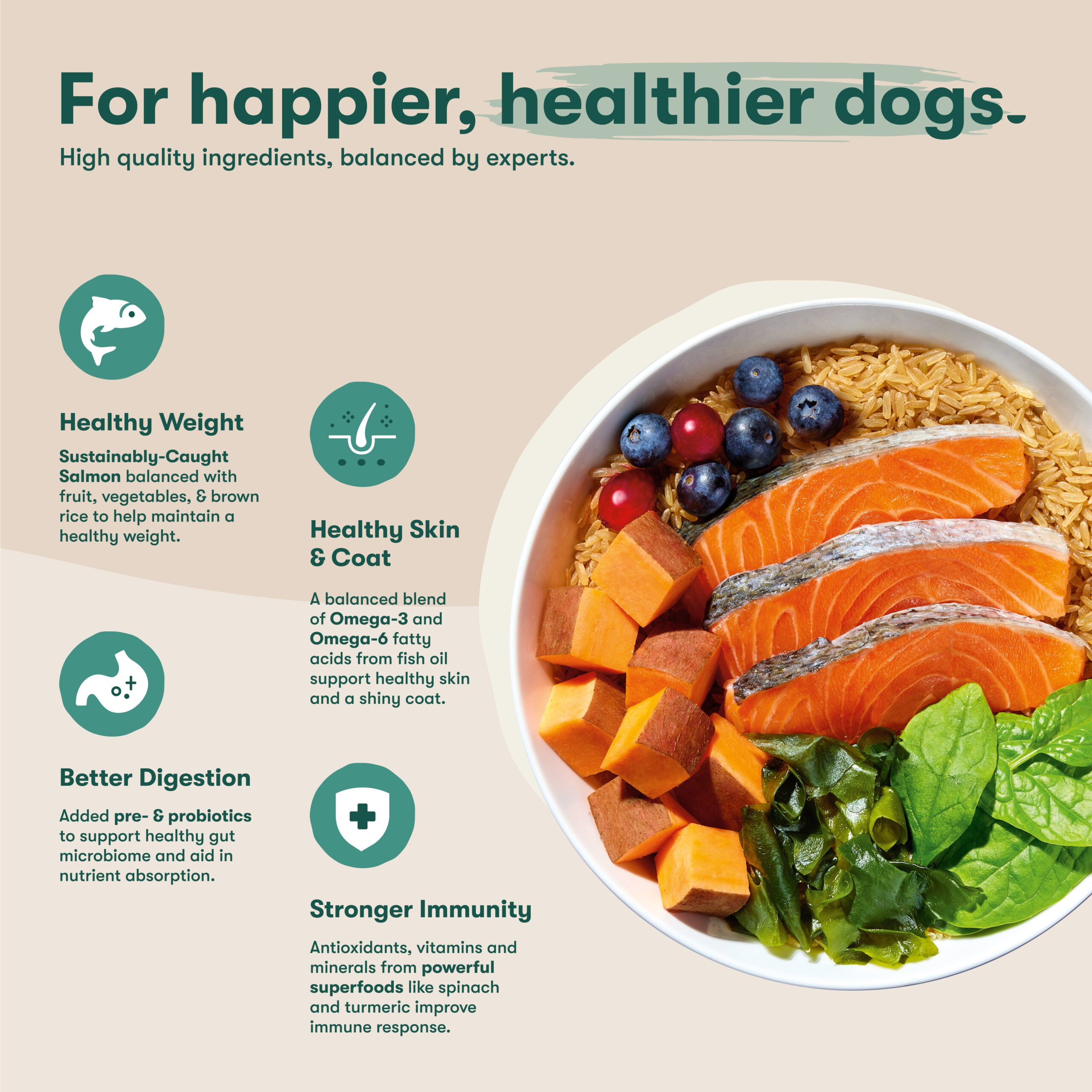 Jinx Salmon, Brown Rice, & Sweet Potato Dry Dog Food, 30 lb Bag - Image 4