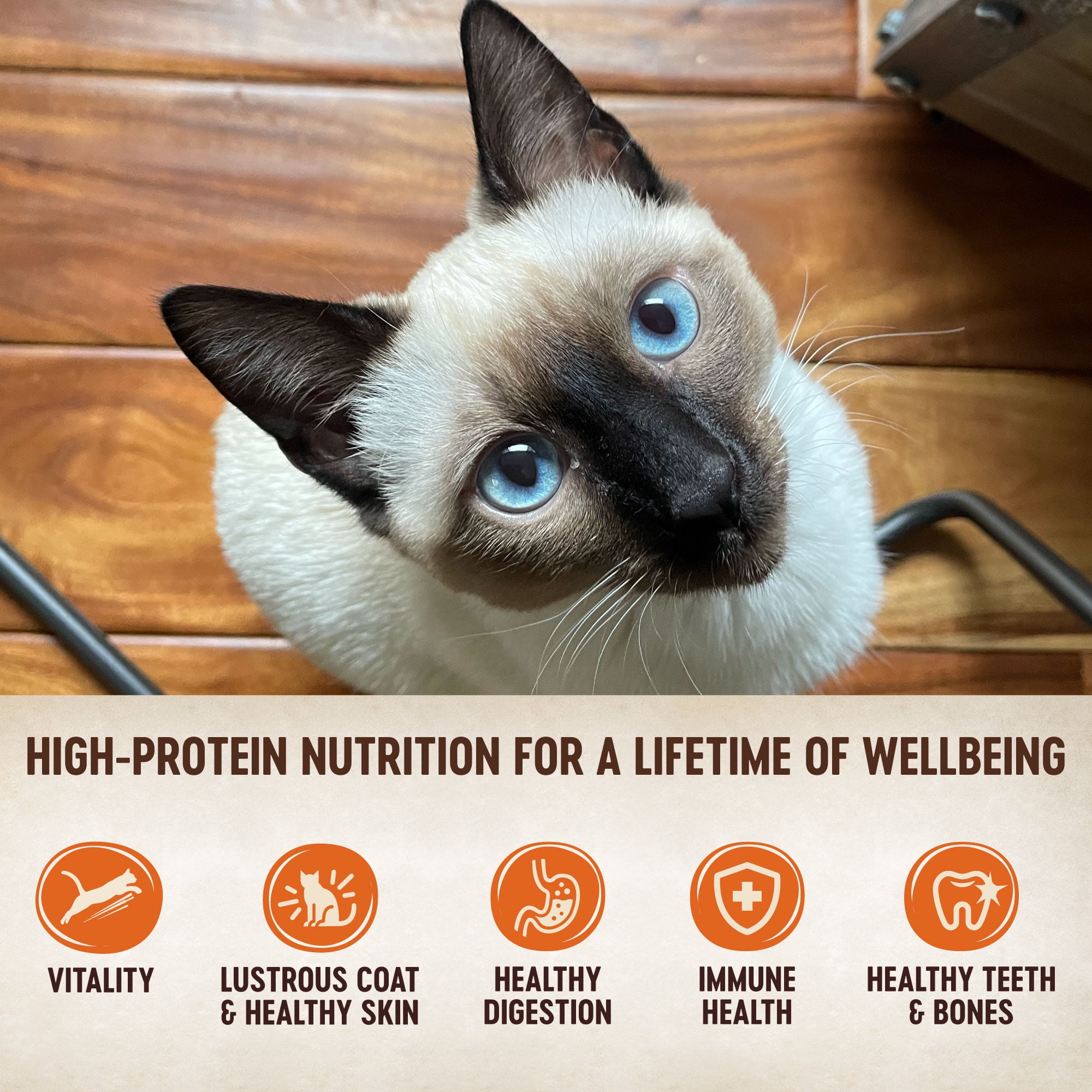 Wellness CORE Hearty Cuts Wet Cat Food, Whitefish & Salmon, 5.5oz Can (Pack of 24) - Image 2