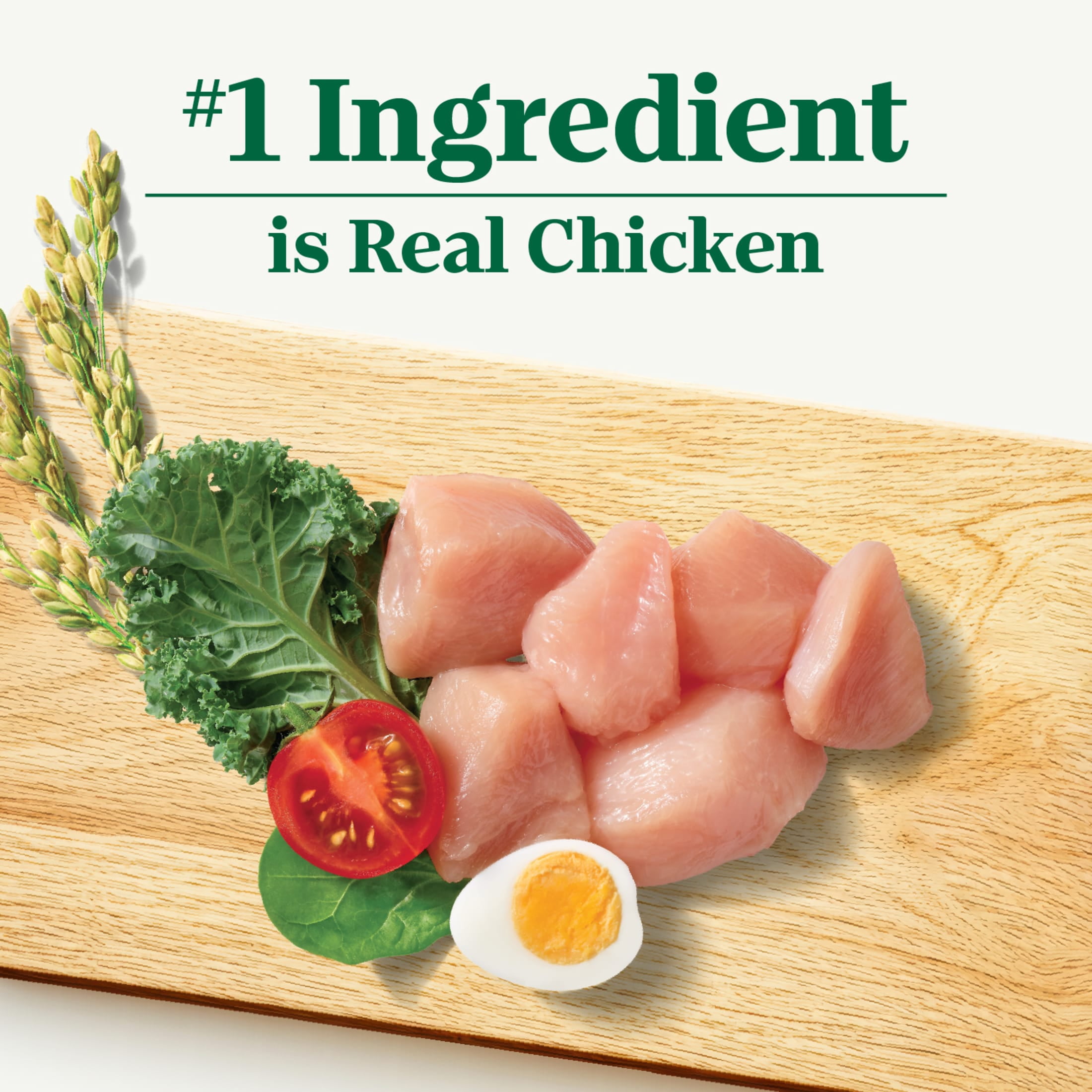 Nutro Natural Choice Large Breed Healthy Weight Dog Food Recipe Chicken & Brown Rice, 30 Lb Bag - Image 6