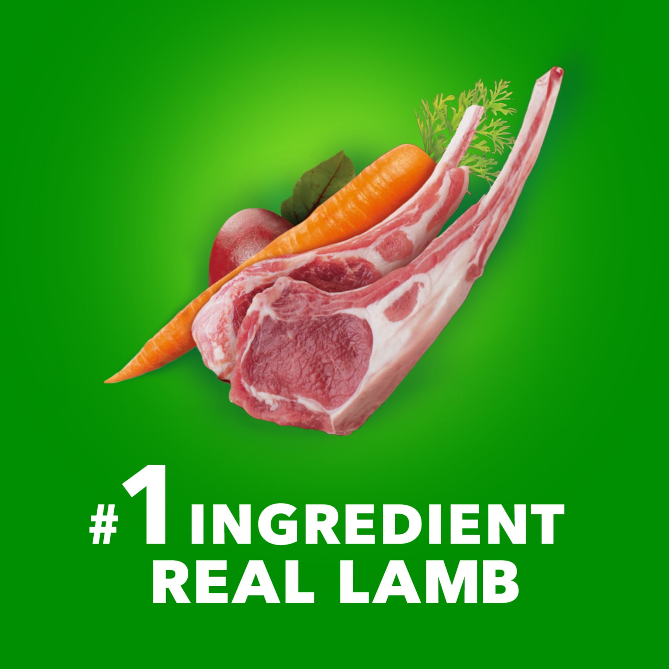 Iams Proactive Health Lamb And Rice Flavor For Large Breed Dry Dog Food, 40 Lb Bag - Image 4