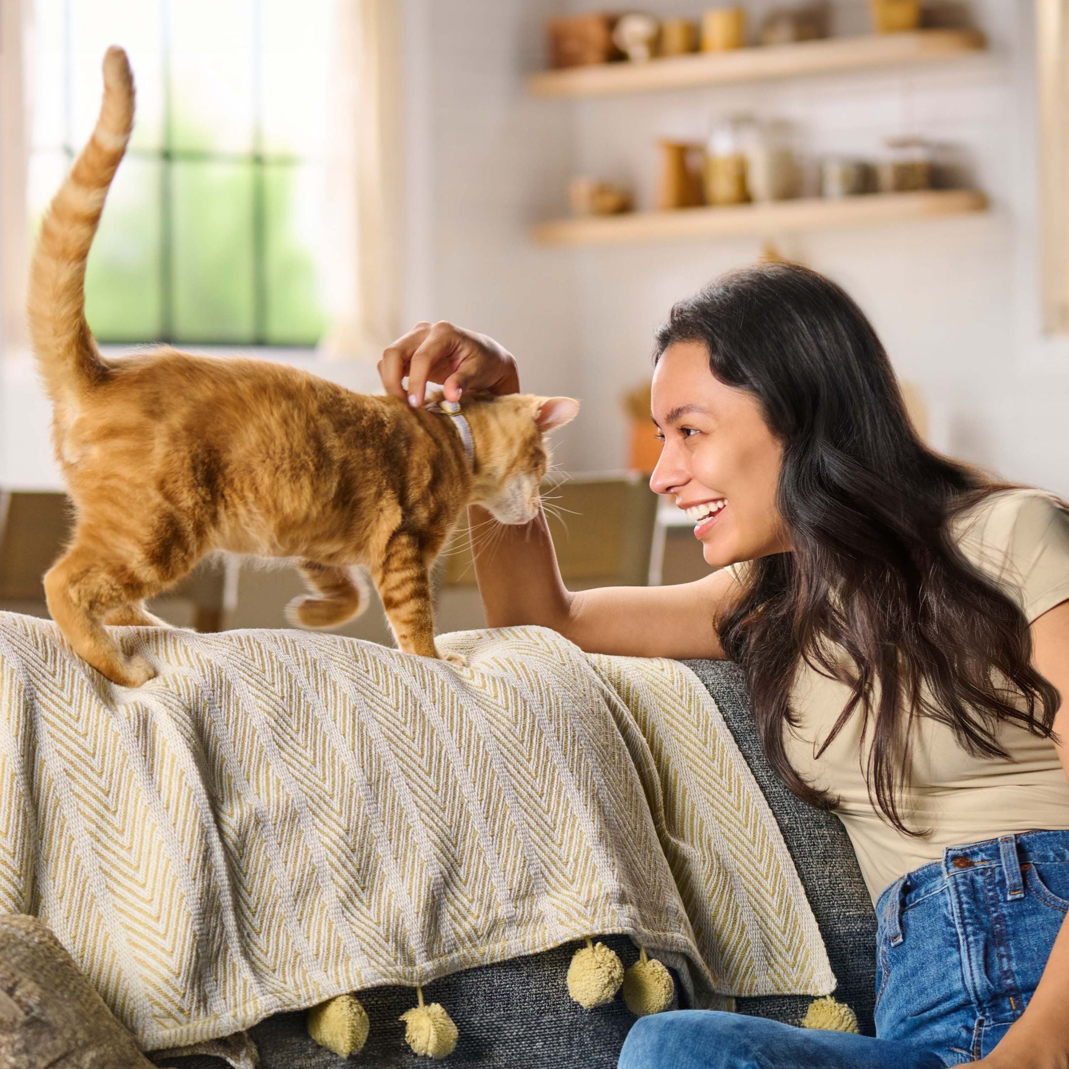 (3 pack) Meow Mix Original Choice Dry Cat Food, 30 lb. Bag - Image 6