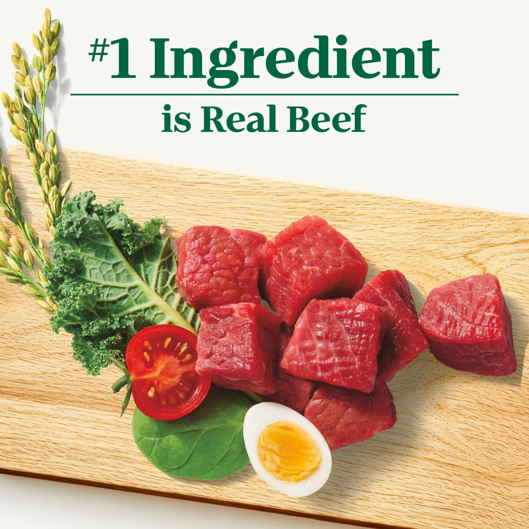 Nutro Natural Choice Adult Dry Dog Food, Beef and Brown Rice Recipe, 28 lbs - Image 6