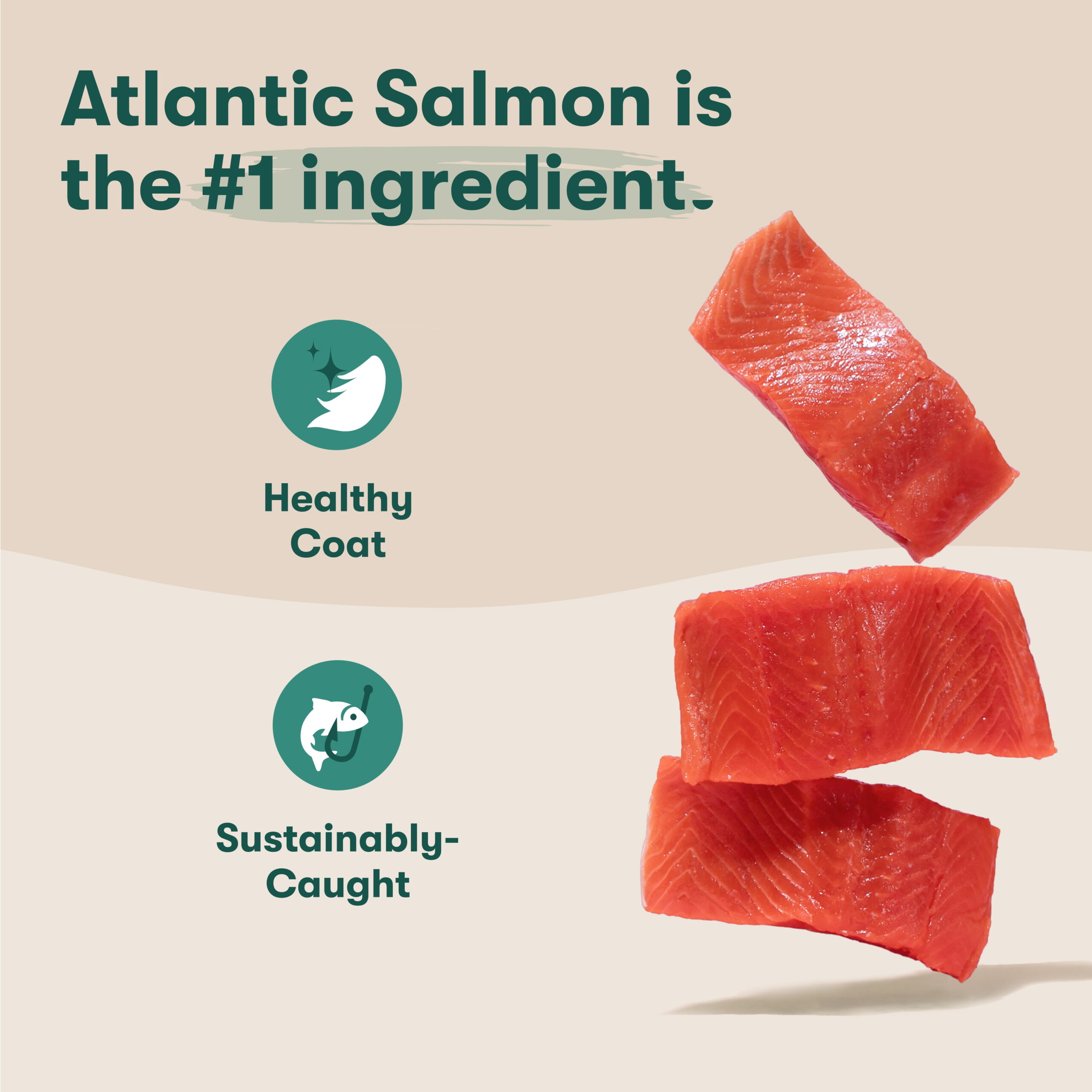 Jinx Salmon, Brown Rice, & Sweet Potato Dry Dog Food, 30 lb Bag - Image 3