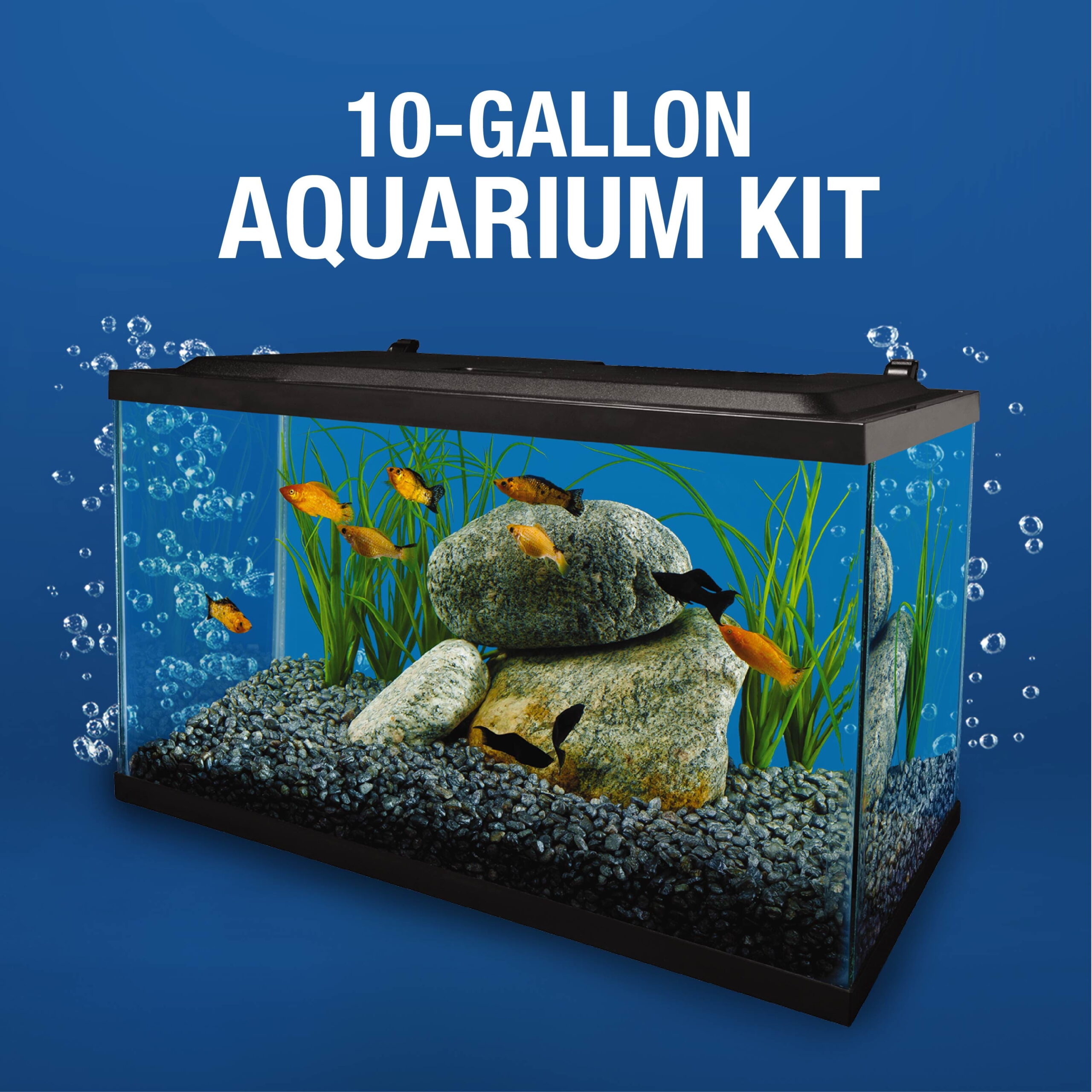 Tetra 10 Gallon Glass LED Aquarium Kit - Image 4