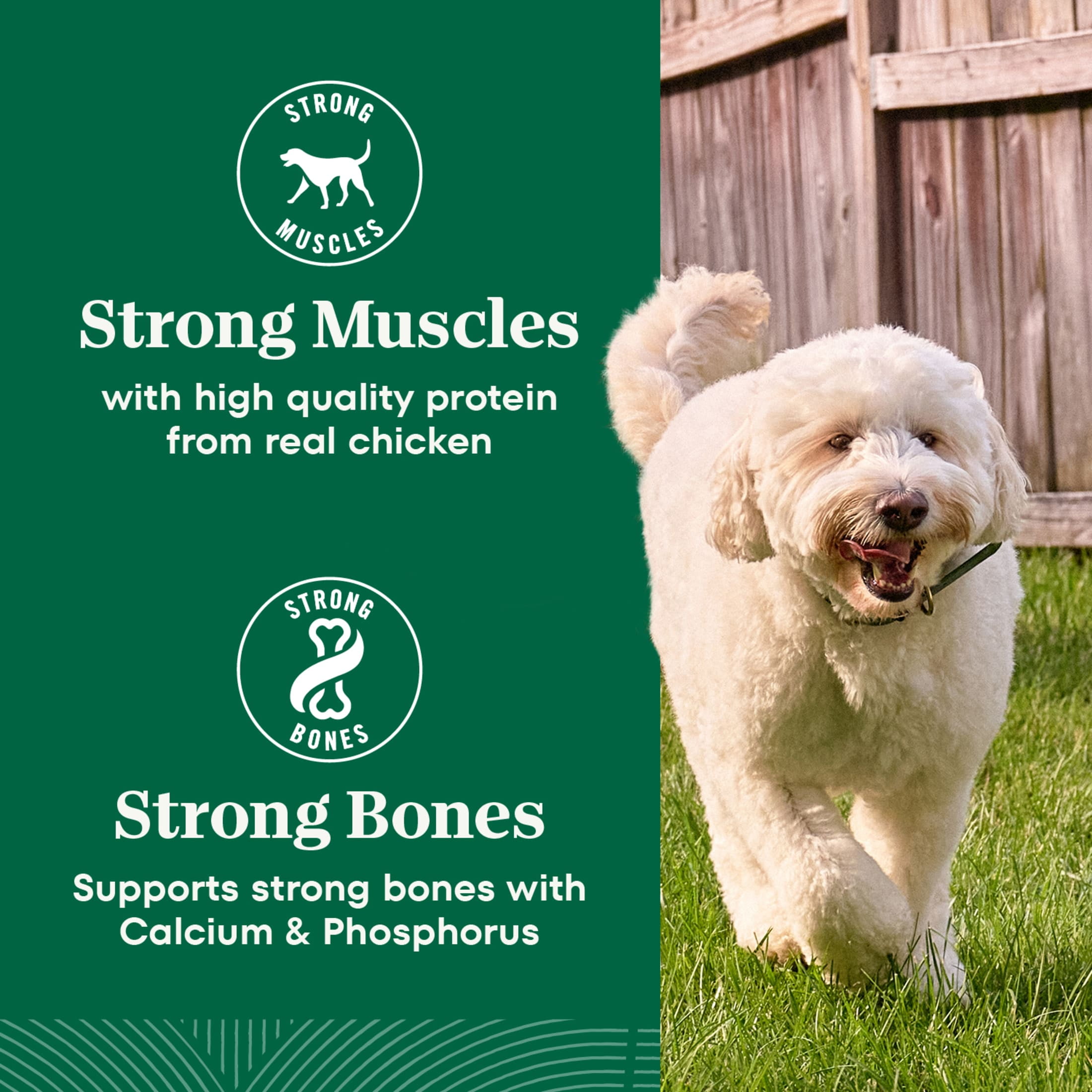 Nutro Natural Choice Senior Dry Dog Food, Chicken and Brown Rice Recipe, 30 lbs - Image 7