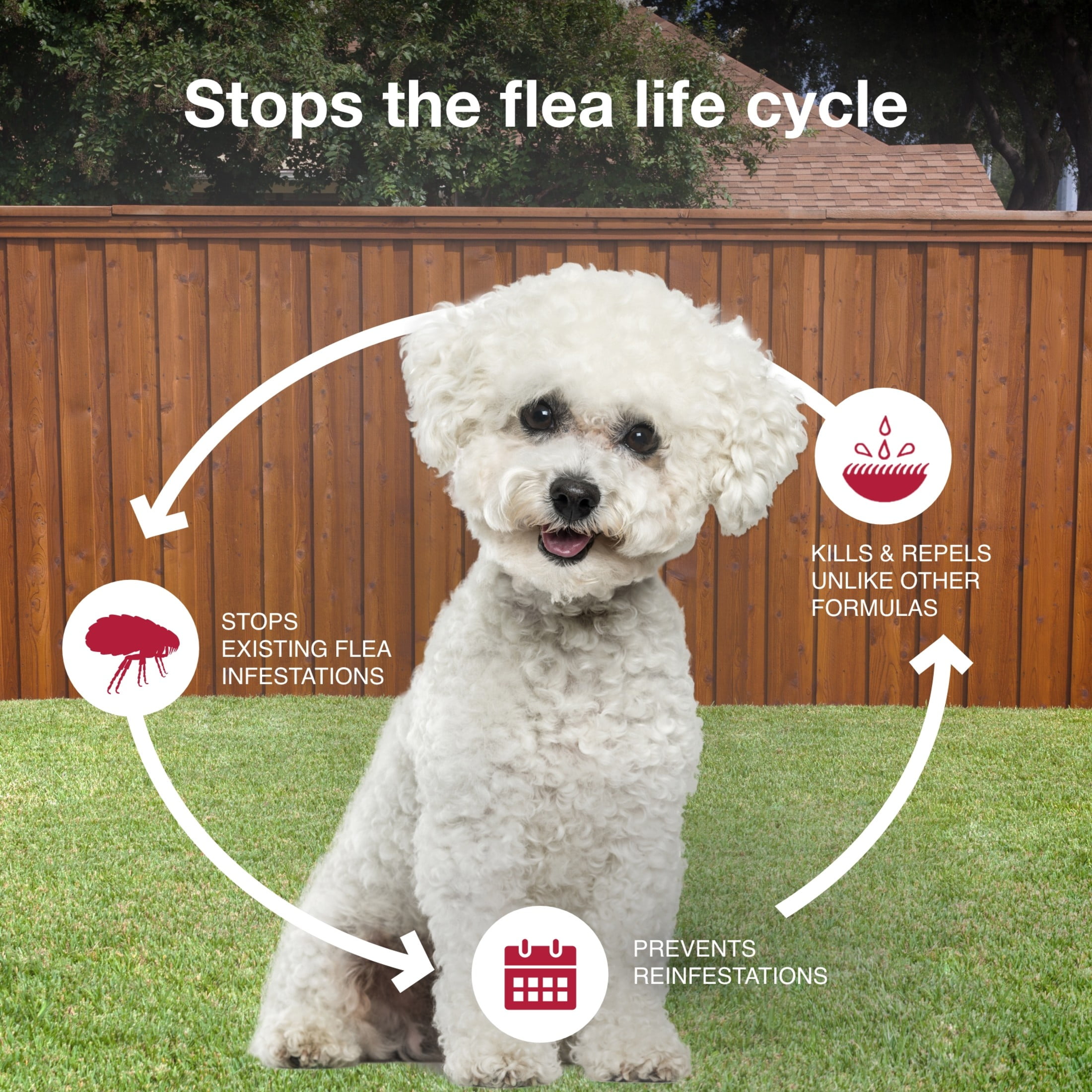 K9 Advantix II Monthly Flea & Tick Prevention for Small Dogs 4-10 lbs, 6-Monthly Treatment - Image 3