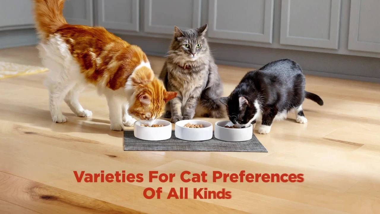 (3 pack) Meow Mix Original Choice Dry Cat Food, 30 lb. Bag - Image 2