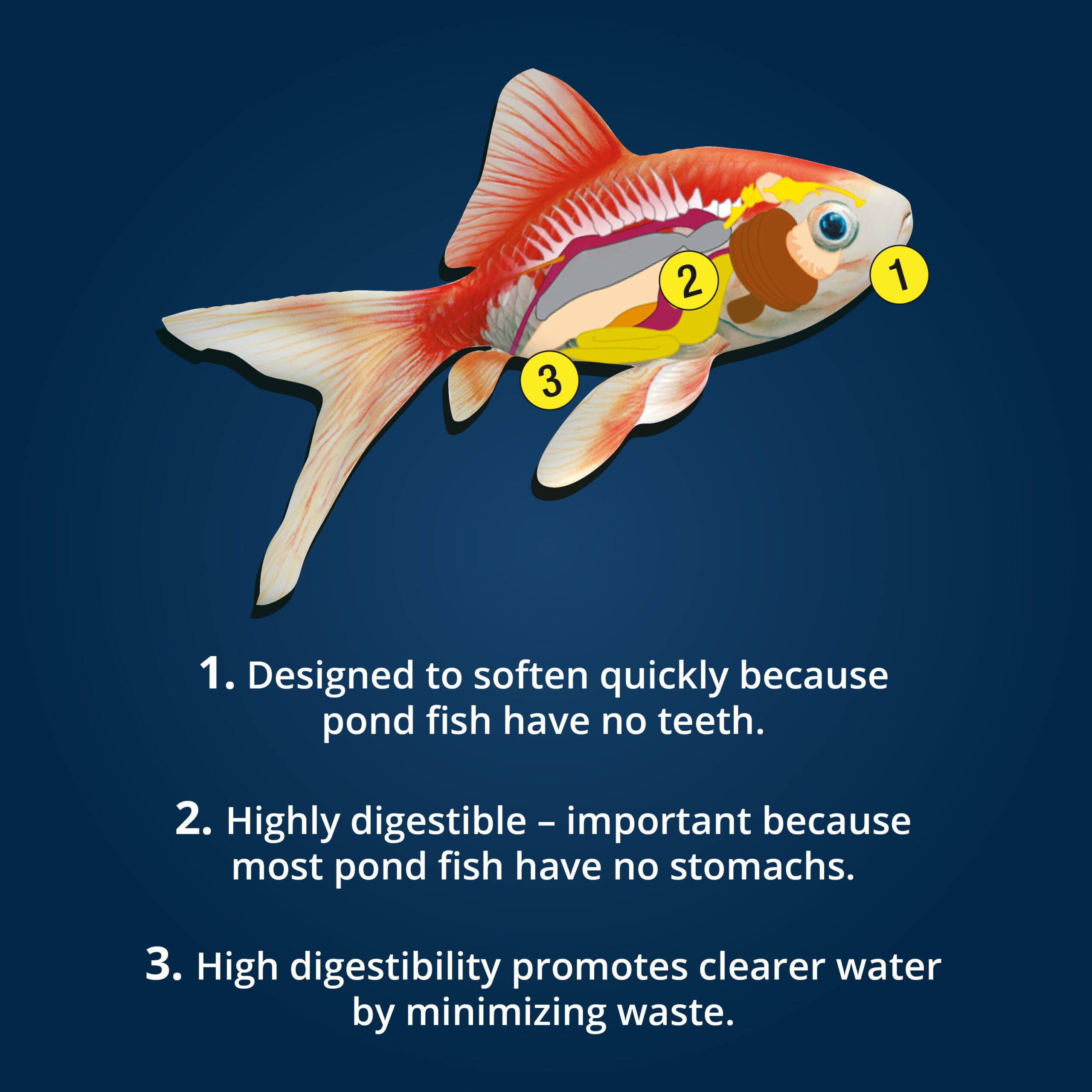 Tetra TetraPond Sticks Pond Fish Food for Goldfish and Koi, 11 lb - Image 4