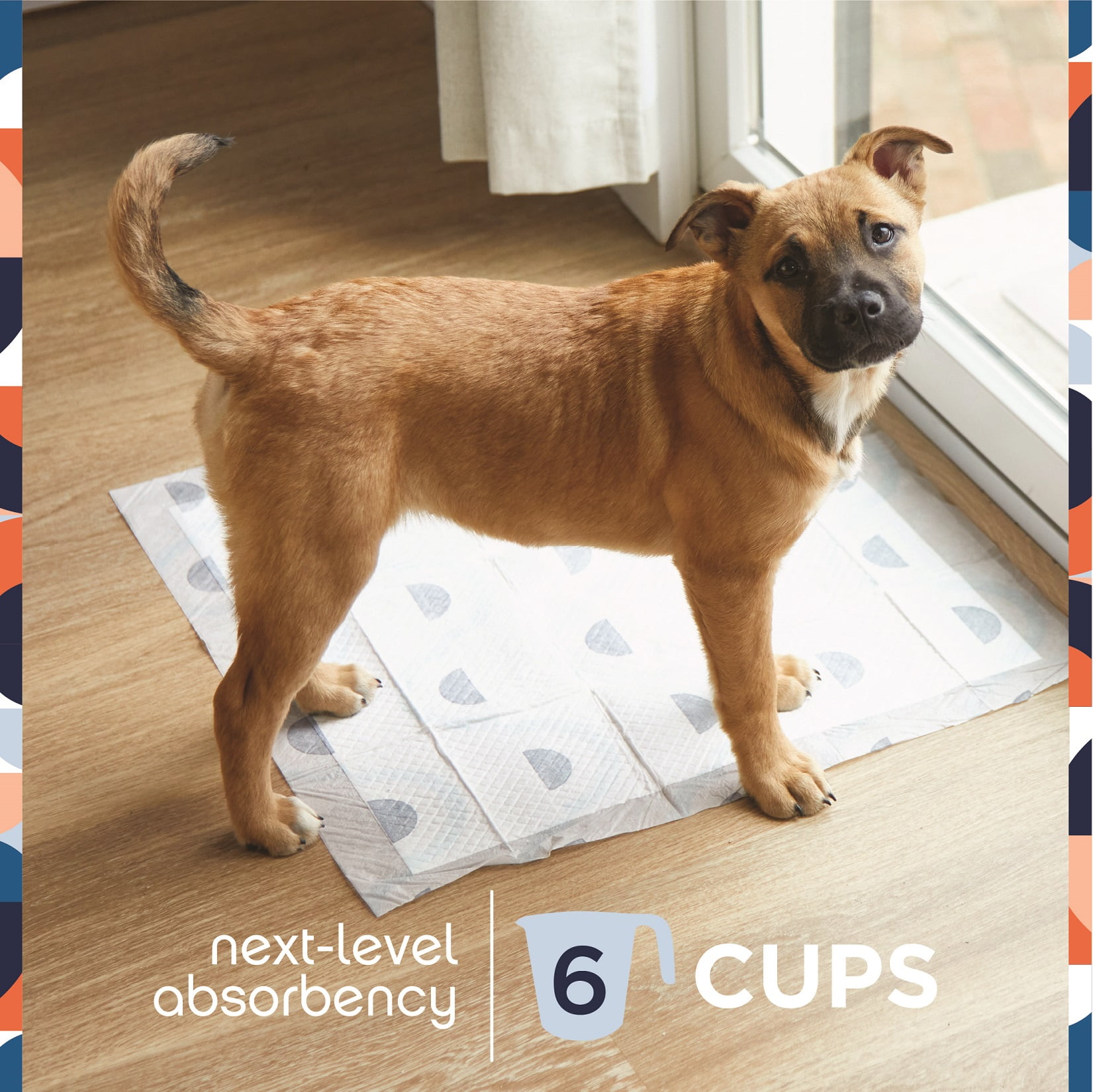 (2 pack) Pet Life Unlimited Dog Pads, Smart Prints, Large, Sunshine & Rainbows Print, 75ct - Image 5