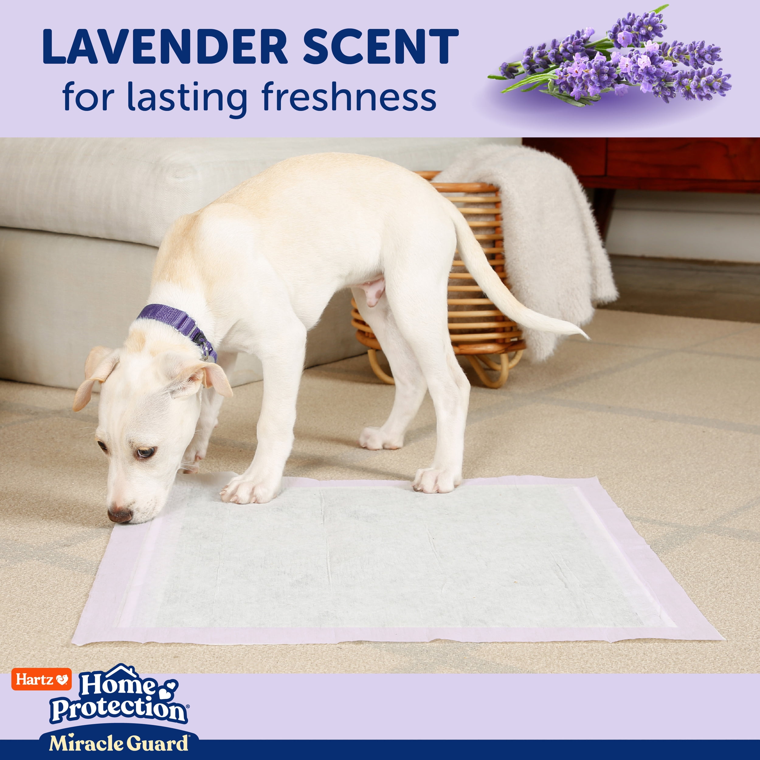 Hartz Home Protection Miracle Guard Lavender Dog Pads, XXL 20 Count - Image 5