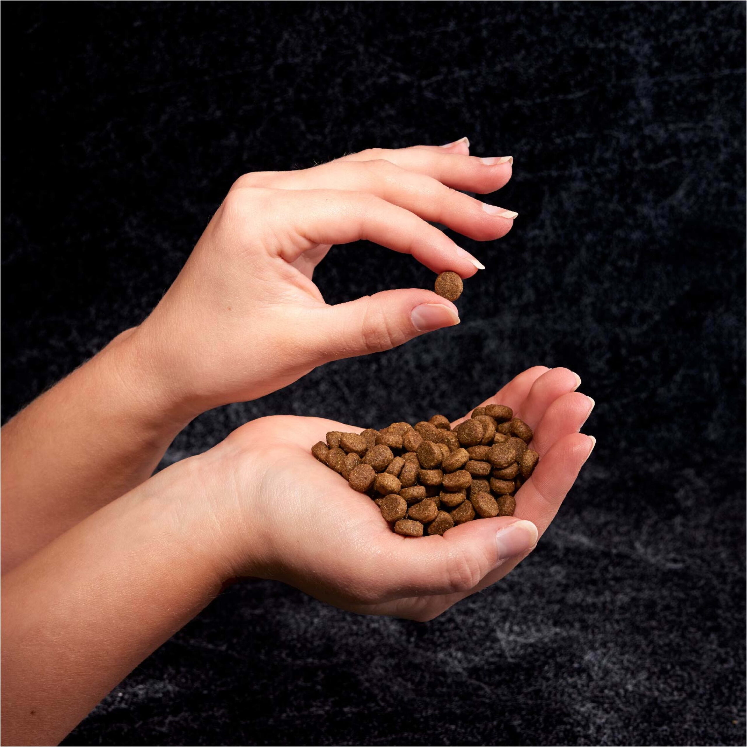 Crave Grain Free Adult Dry Dog Food With Protein From Beef, 22 Lb. Bag - Image 5