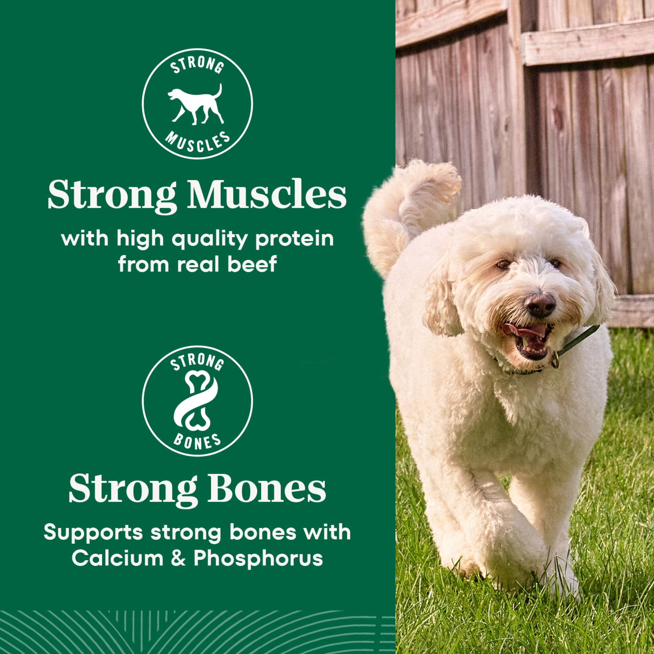 Nutro Natural Choice Adult Dry Dog Food, Beef and Brown Rice Recipe, 28 lbs - Image 7