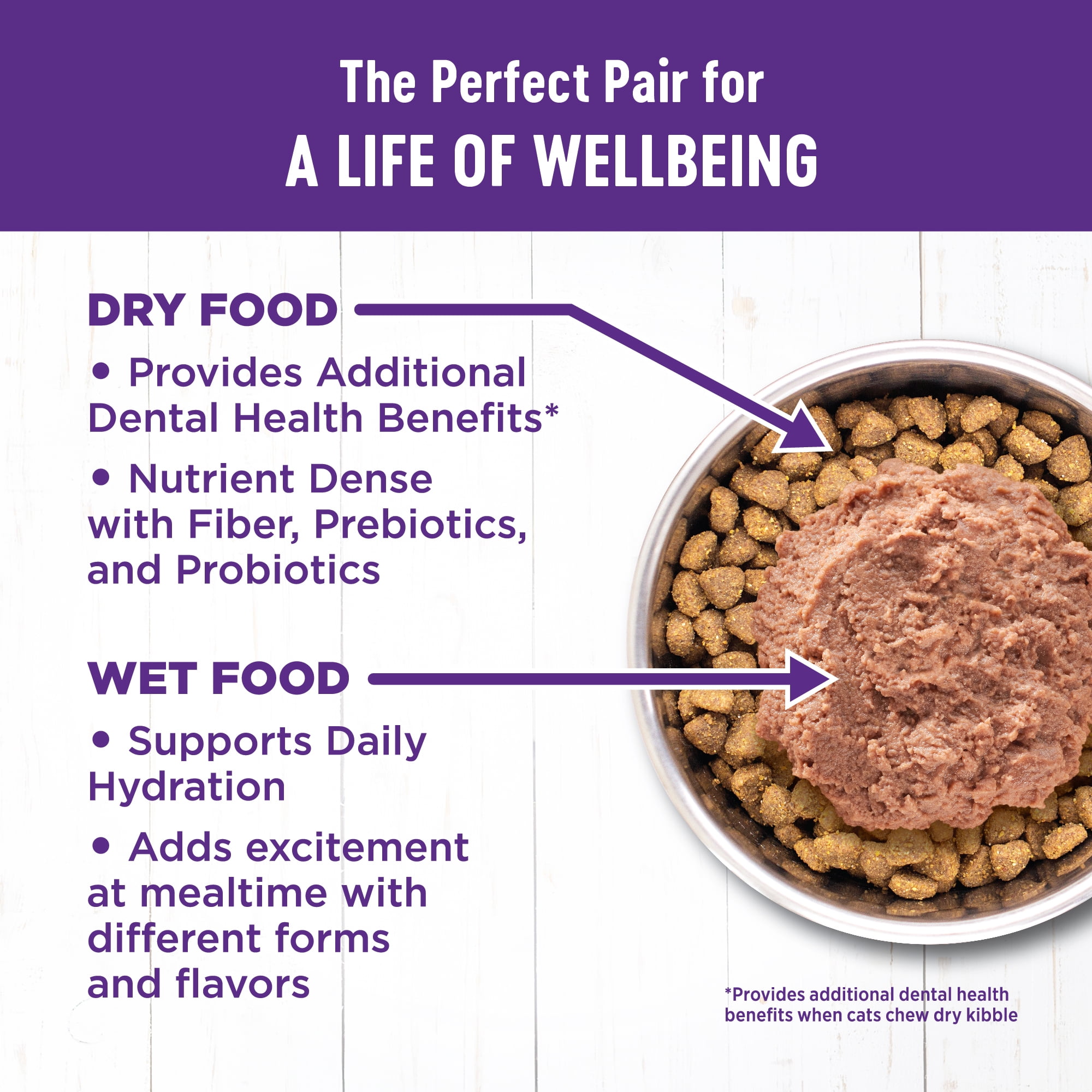 Wellness Complete Health Grain Free Canned Cat Food, Chicken Pate, 5.5 Ounces (Pack of 24) - Image 7