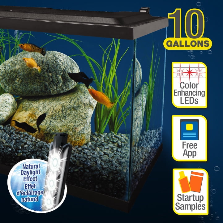 Tetra 10 Gallon Glass LED Aquarium Kit - Image 7
