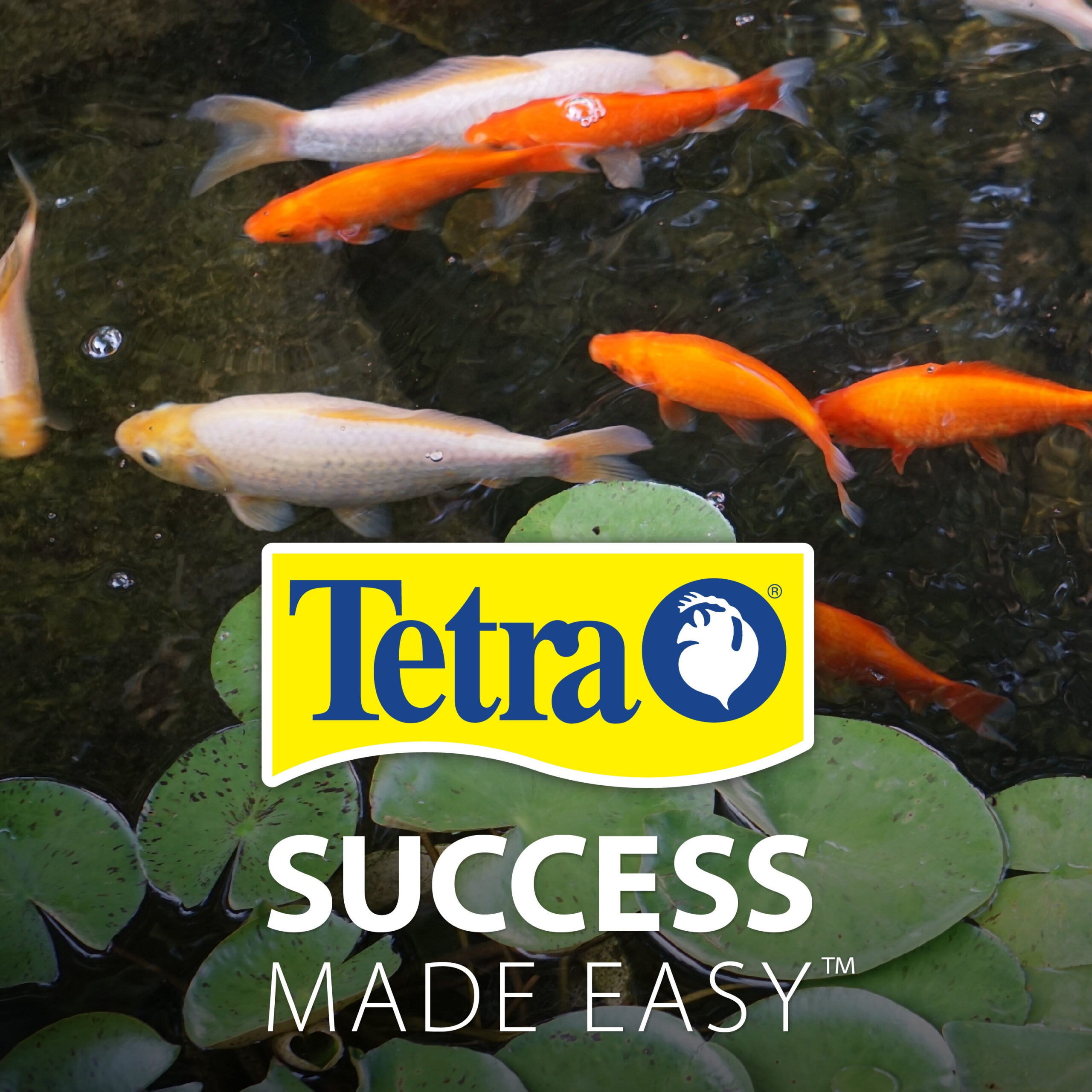 Tetra TetraPond Sticks Pond Fish Food for Goldfish and Koi, 11 lb - Image 7