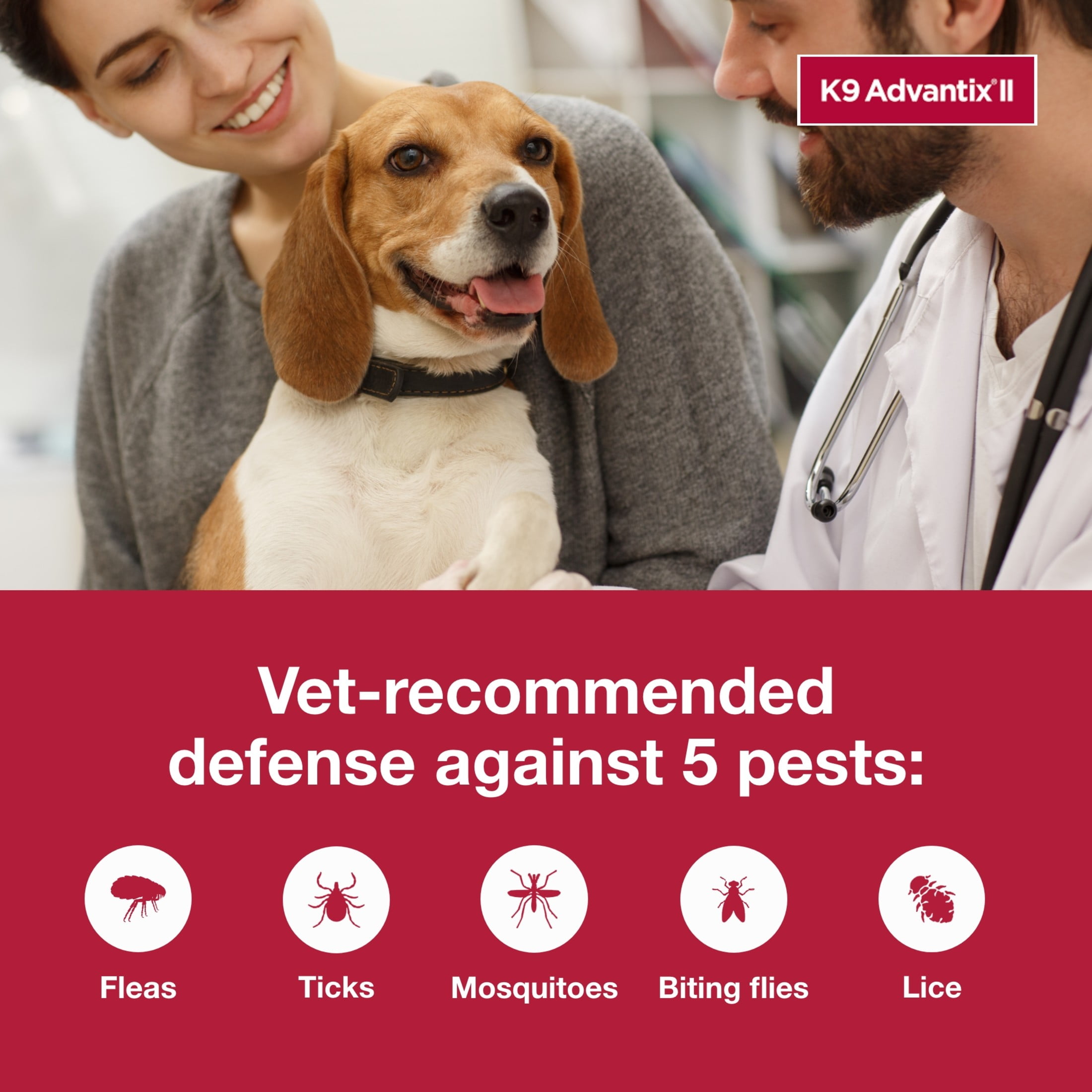 K9 Advantix II Monthly Flea & Tick Prevention for Small Dogs 4-10 lbs, 6-Monthly Treatment - Image 2