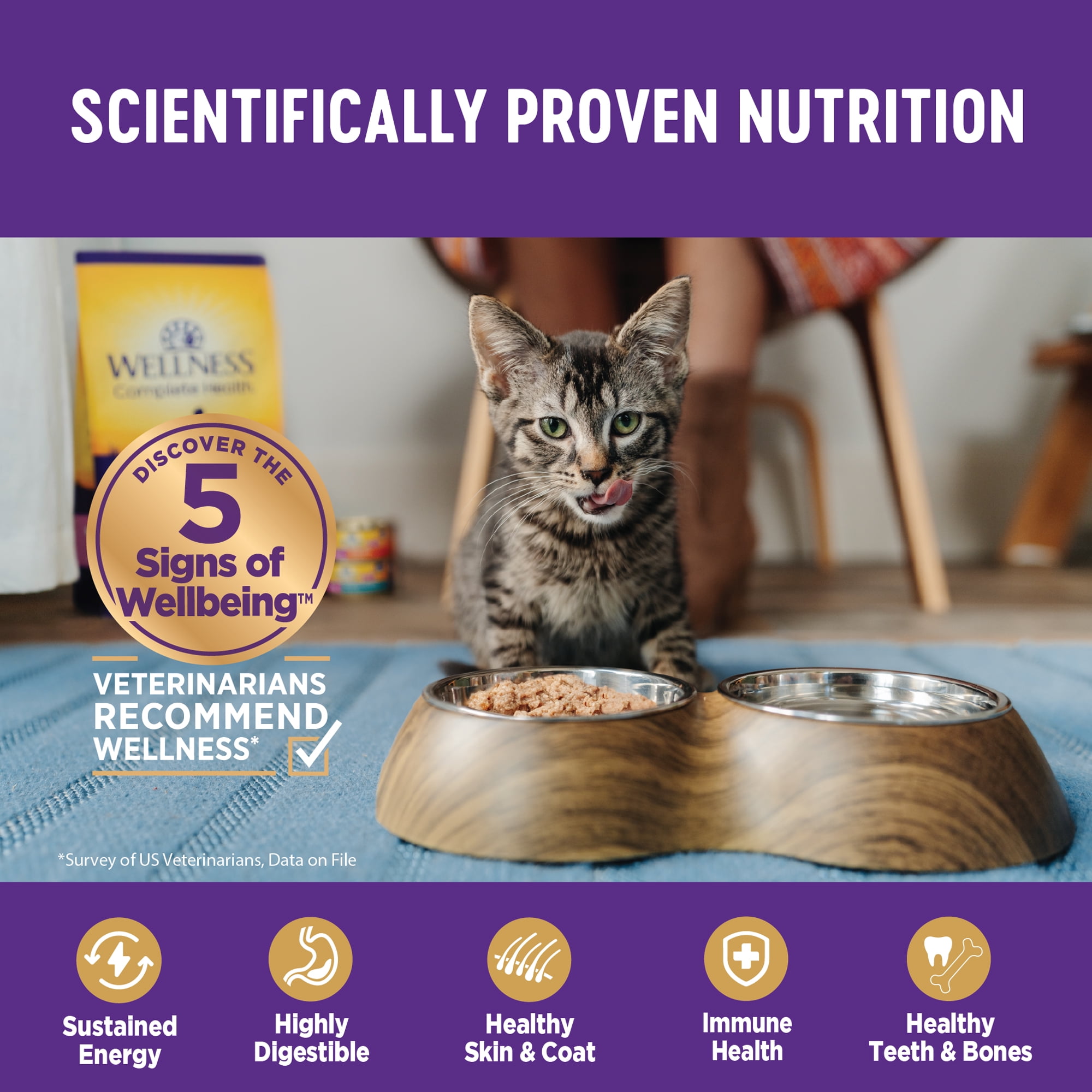 Wellness Complete Health Grain Free Canned Cat Food, Chicken Pate, 5.5 Ounces (Pack of 24) - Image 6