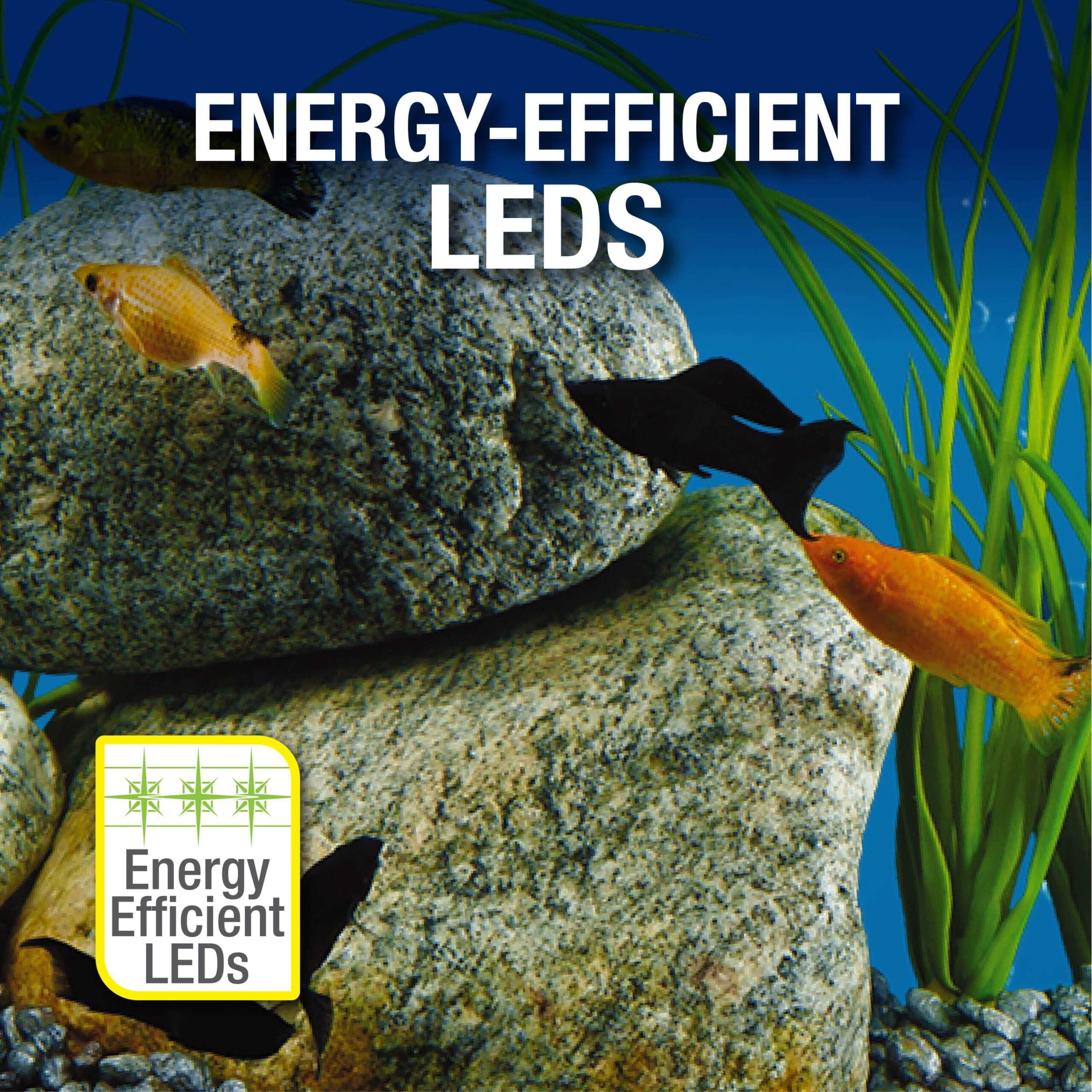 Tetra 10 Gallon Glass LED Aquarium Kit - Image 6