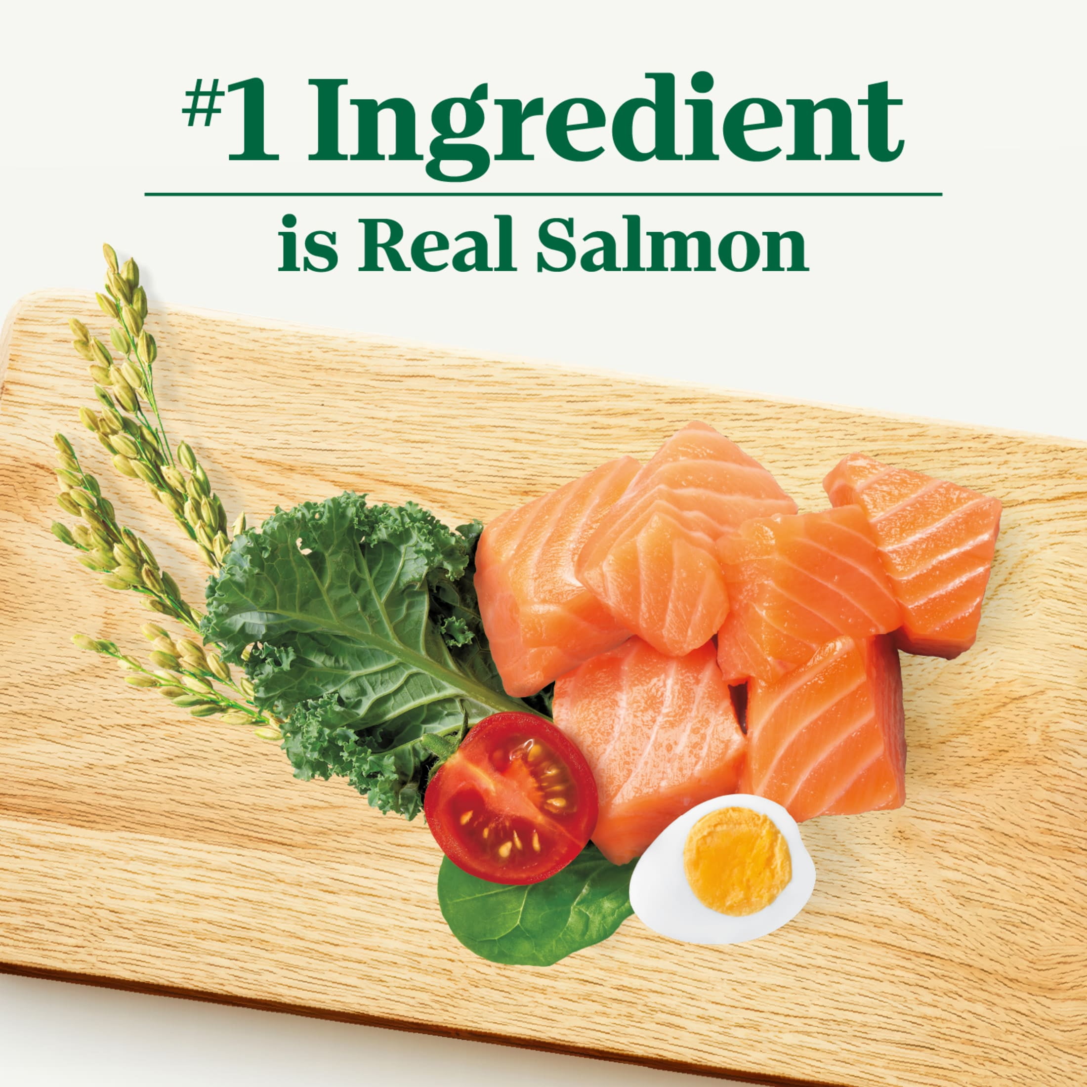 Nutro Natural Choice Adult Small Bites Dog Food Recipe Salmon & Brown Rice, 28 Lb Bag - Image 5