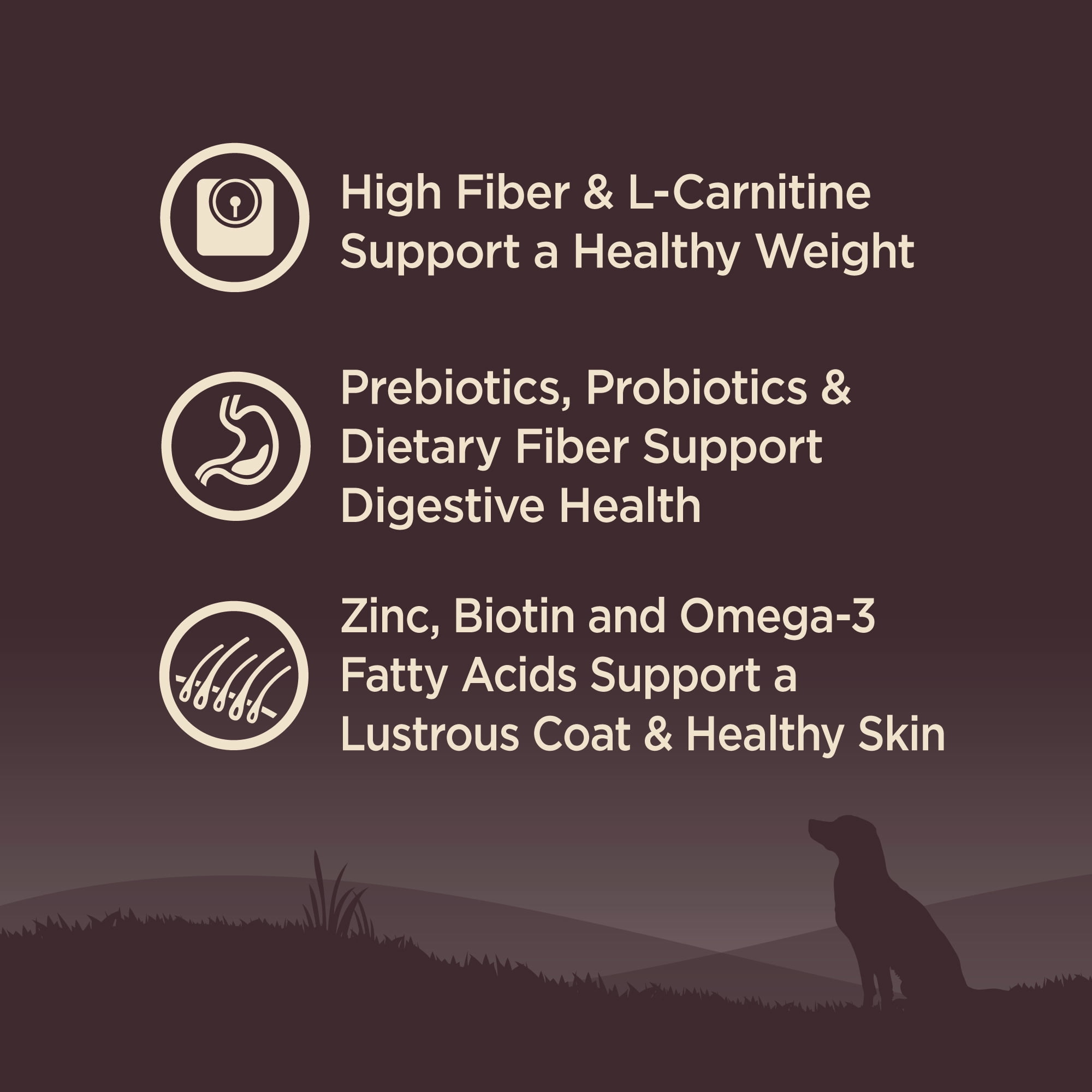 Wellness CORE Dry Dog Food, Grain Free, High Protein, Natural, Healthy Weight Turkey & Chicken Recipe, (26-Pound Bag) - Image 3