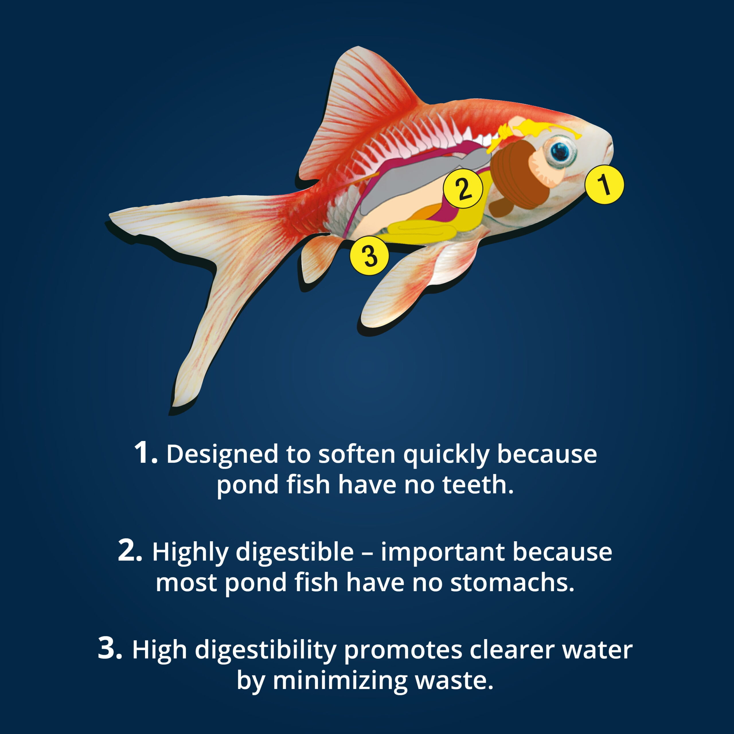 Tetra Pond Koi Vibrance Color Enhancing Floating Pond Fish Food, 16.5 lbs - Image 6