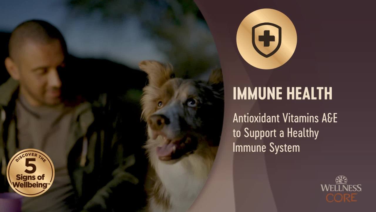 Wellness CORE Natural Grain Free Dry Dog Food, Wild Game Duck, Lamb Meal, Wild Boar & Rabbit, 26-Pound Bag - Image 2