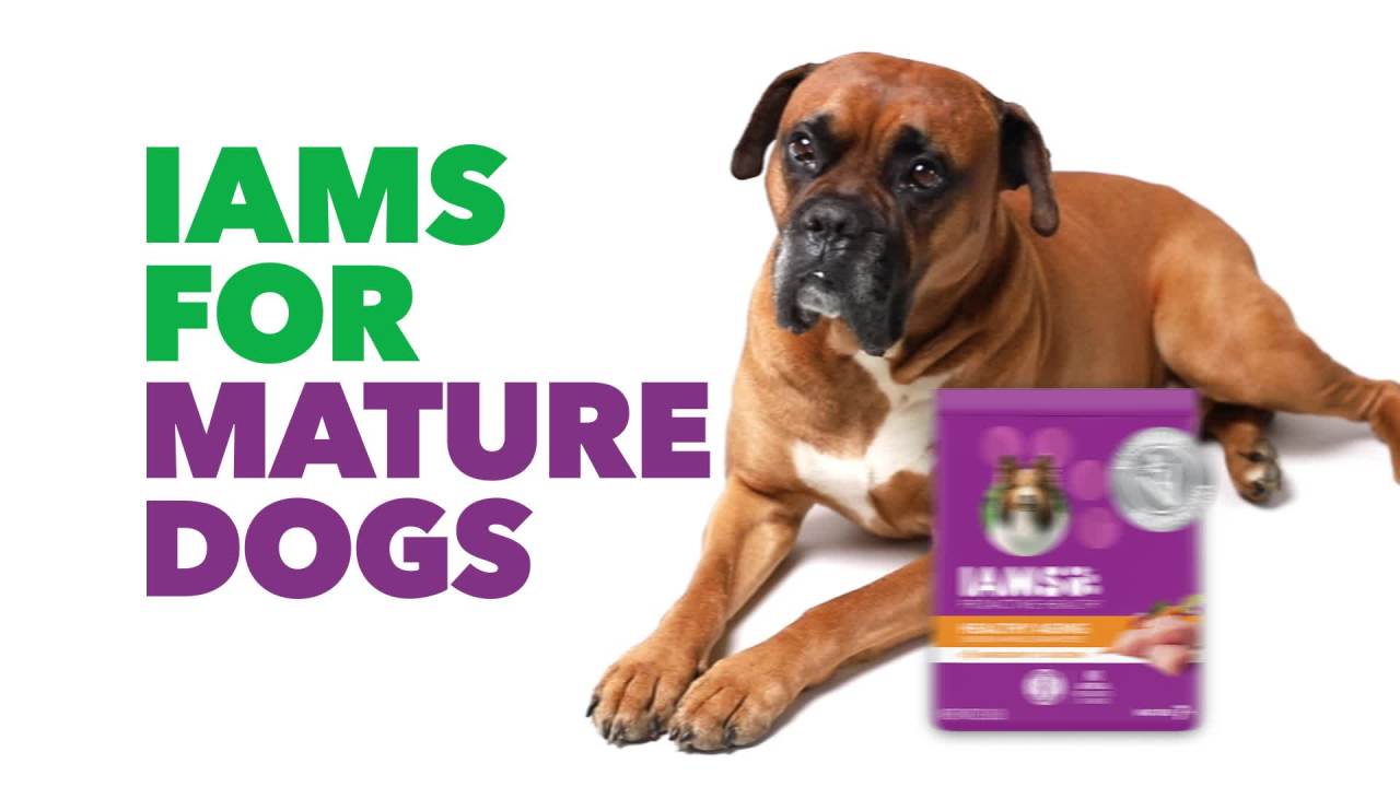 Iams Proactive Health Lamb And Rice Flavor For Large Breed Dry Dog Food, 40 Lb Bag - Image 2