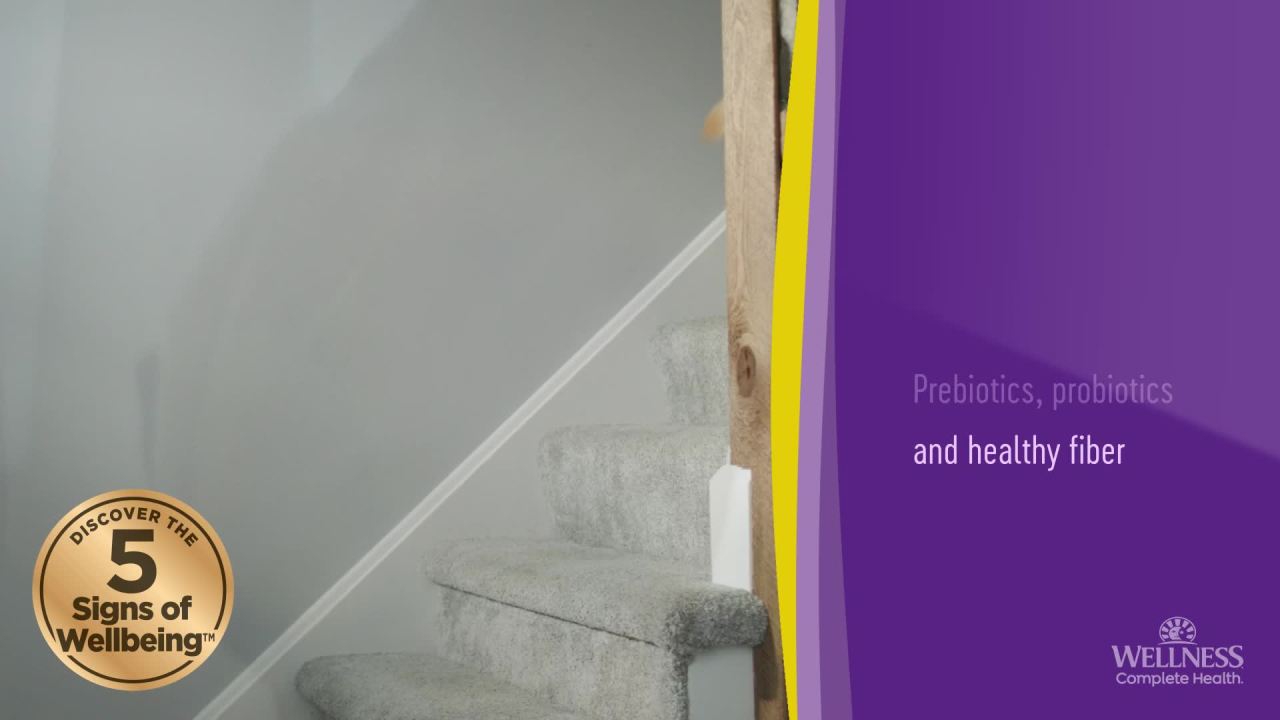 Wellness Complete Health Natural Grain Free Puppy Dry Dog Food, Chicken & Salmon, 24-Pound Bag - Image 2