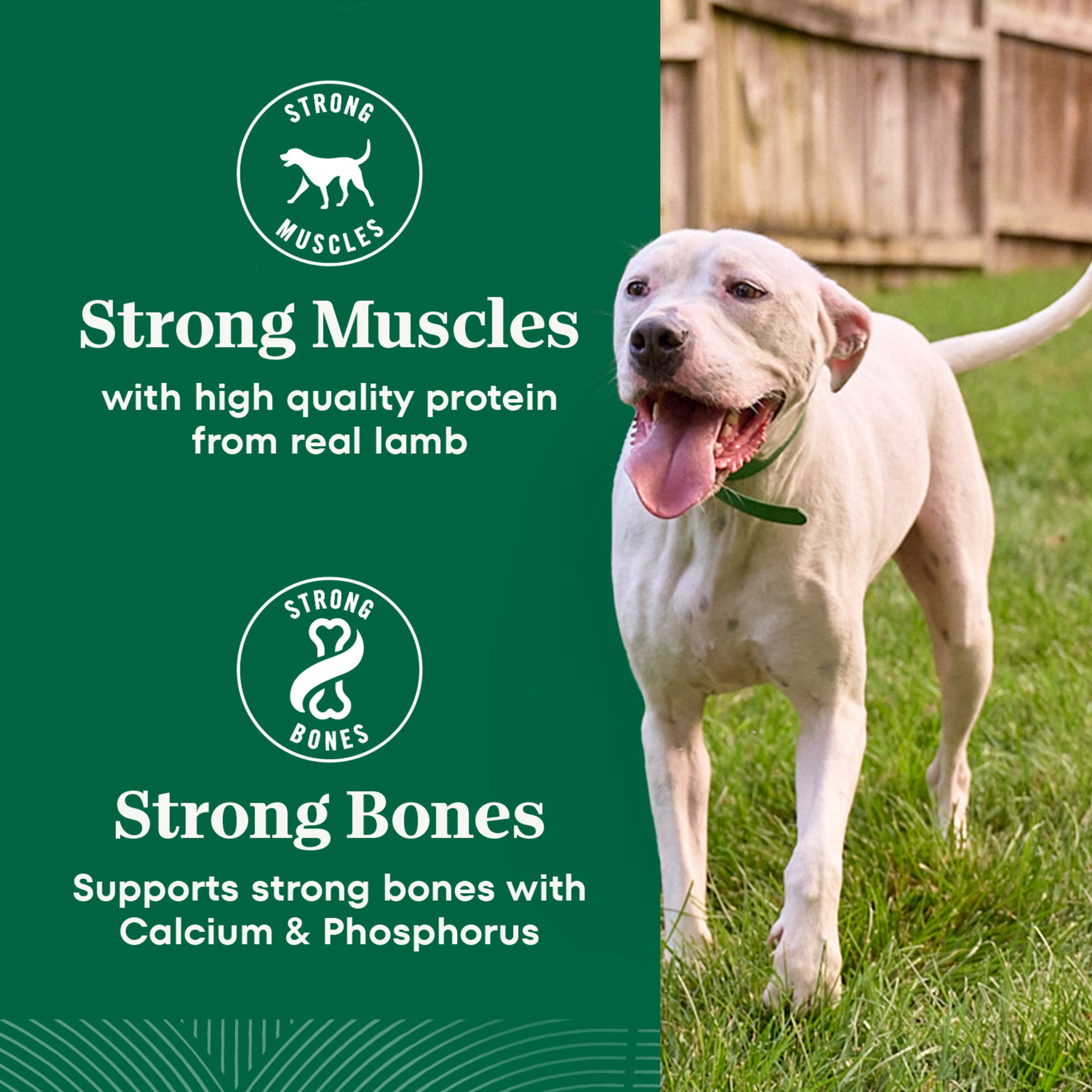 Nutro Natural Choice Adult Large Breed Dog Food Dry Recipe Lamb & Brown Rice, 30 Lb Bag - Image 7