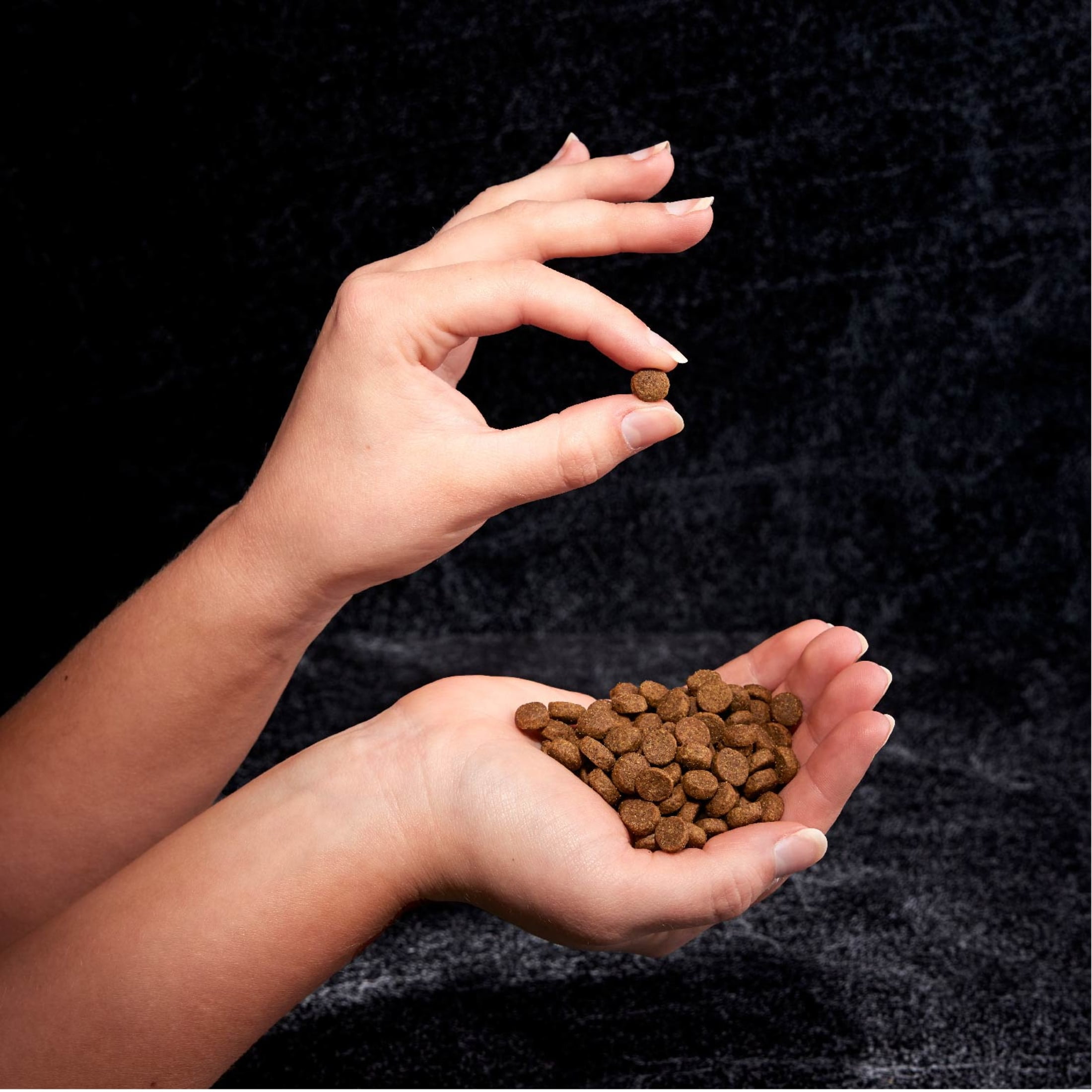 Crave Grain Free Adult Dry Dog Food With Protein From Chicken, 22 Lb. Bag - Image 4