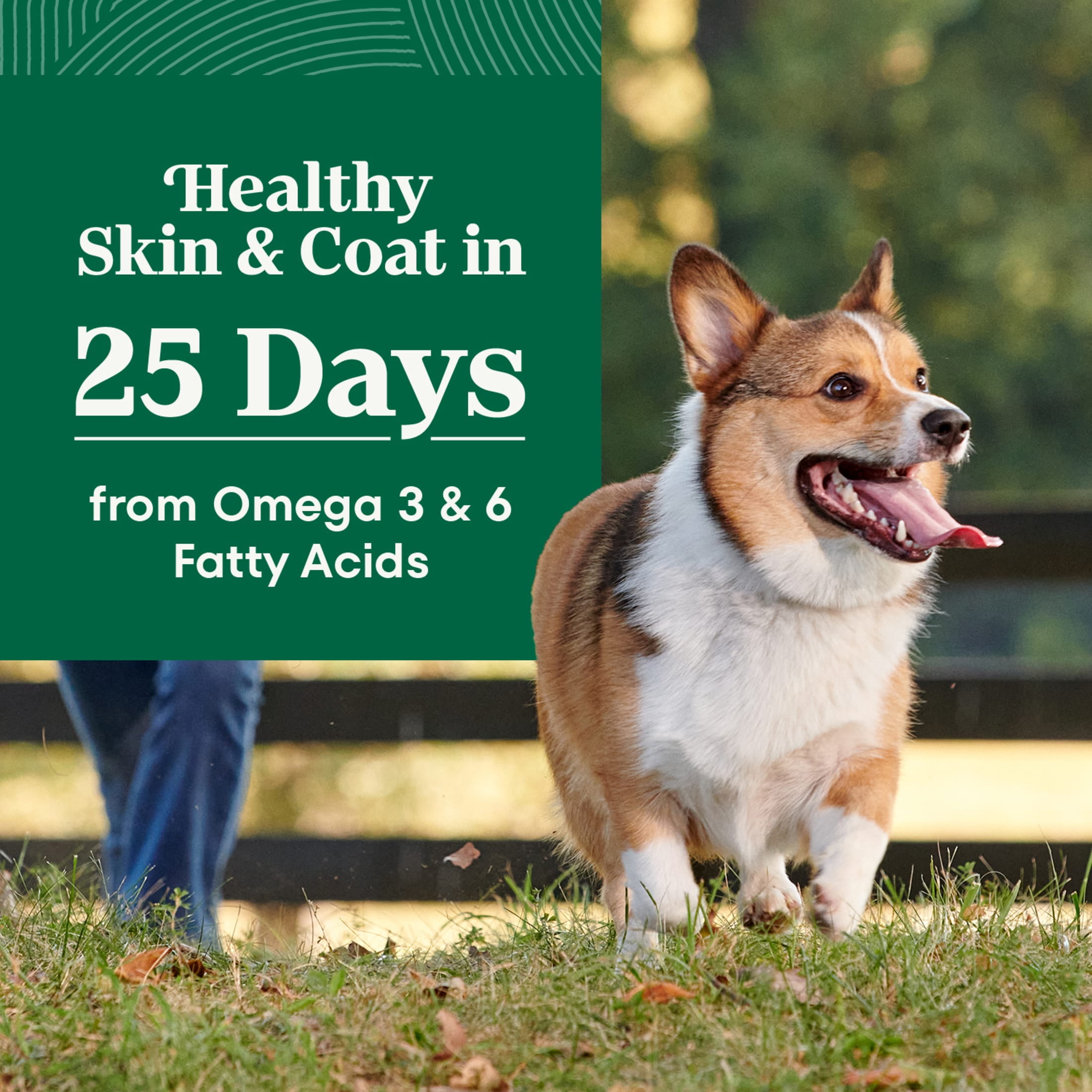 Nutro Natural Choice Adult Small Bites Dog Food Recipe Salmon & Brown Rice, 28 Lb Bag - Image 4