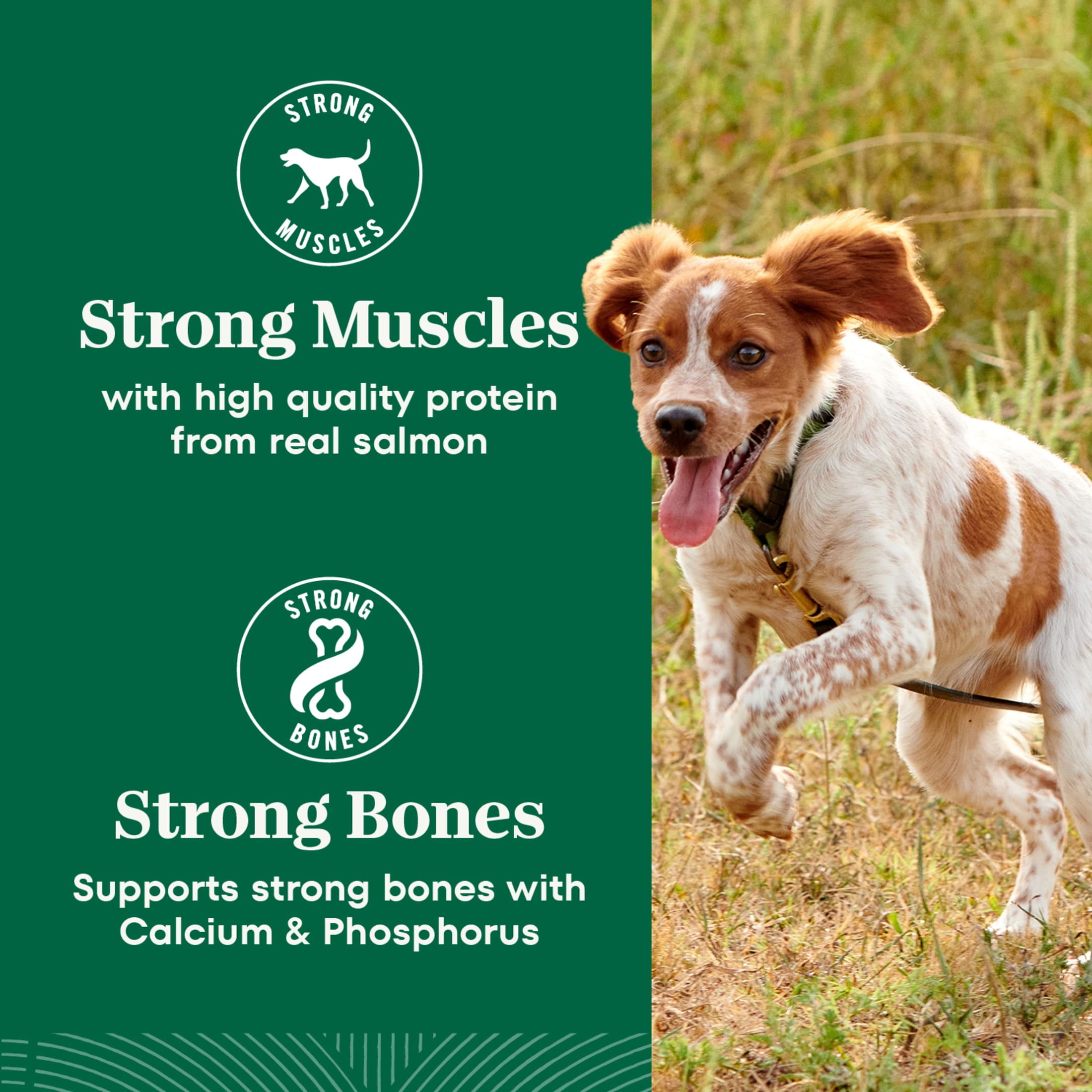 Nutro Natural Choice Adult Small Bites Dog Food Recipe Salmon & Brown Rice, 28 Lb Bag - Image 6