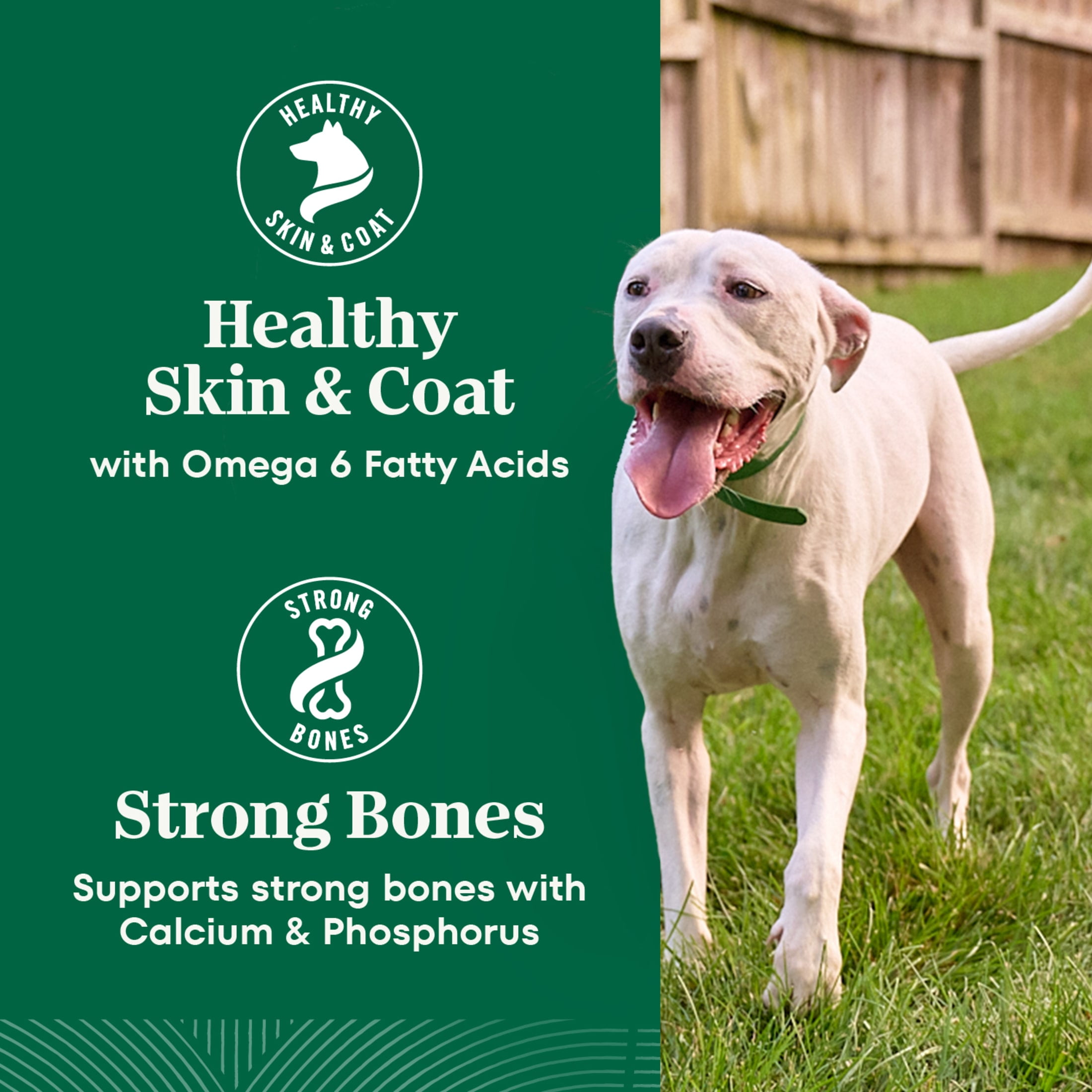 Nutro Natural Choice Adult Healthy Weight Dog Food Recipe Chicken & Brown Rice, 30 Lb Bag - Image 7