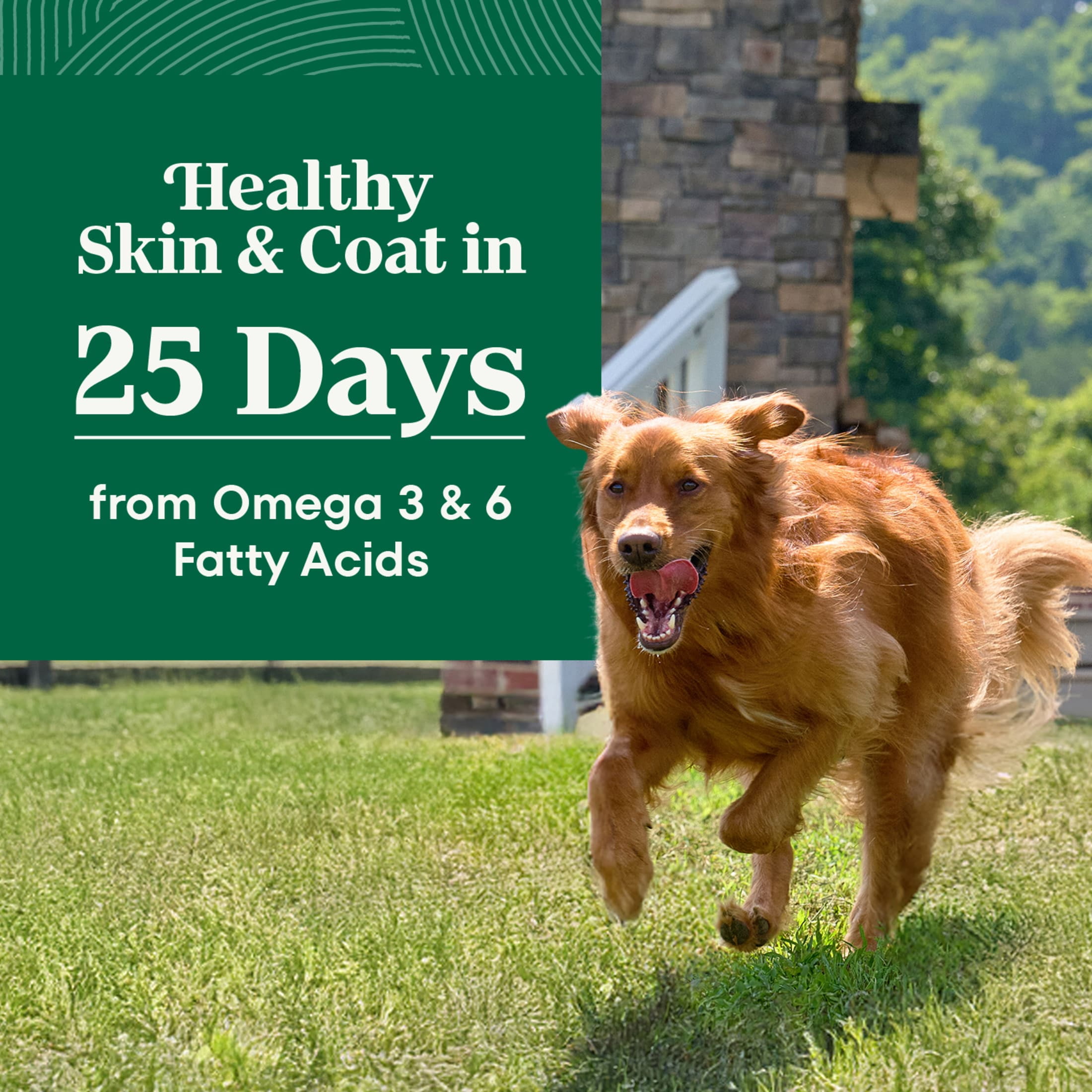 Nutro Natural Choice Adult Large Breed Dog Food Dry Recipe Lamb & Brown Rice, 30 Lb Bag - Image 5