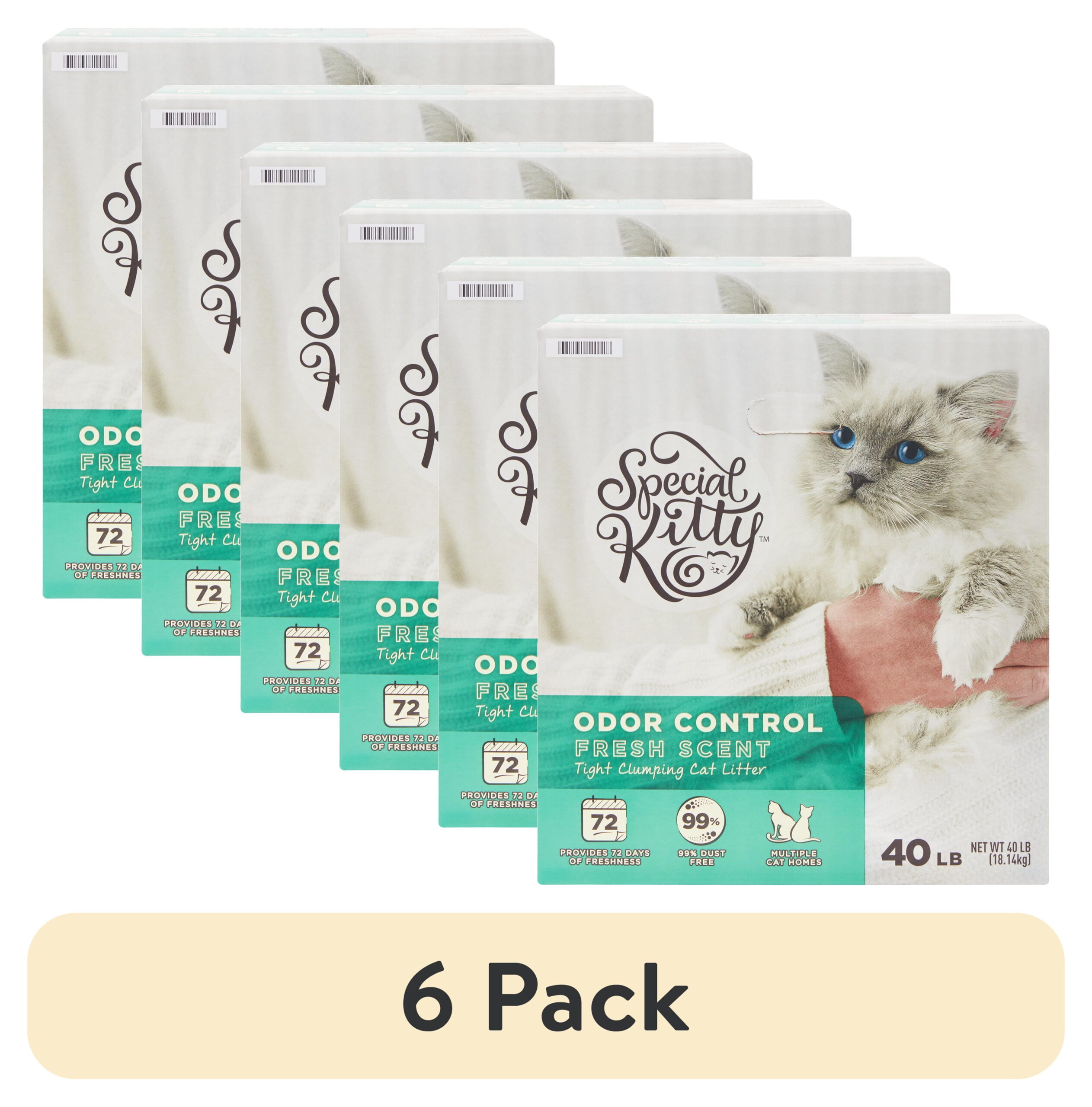 (6 pack) Special Kitty Scoopable Tight Clumping Cat Litter, Fresh Scent, 40 lb
