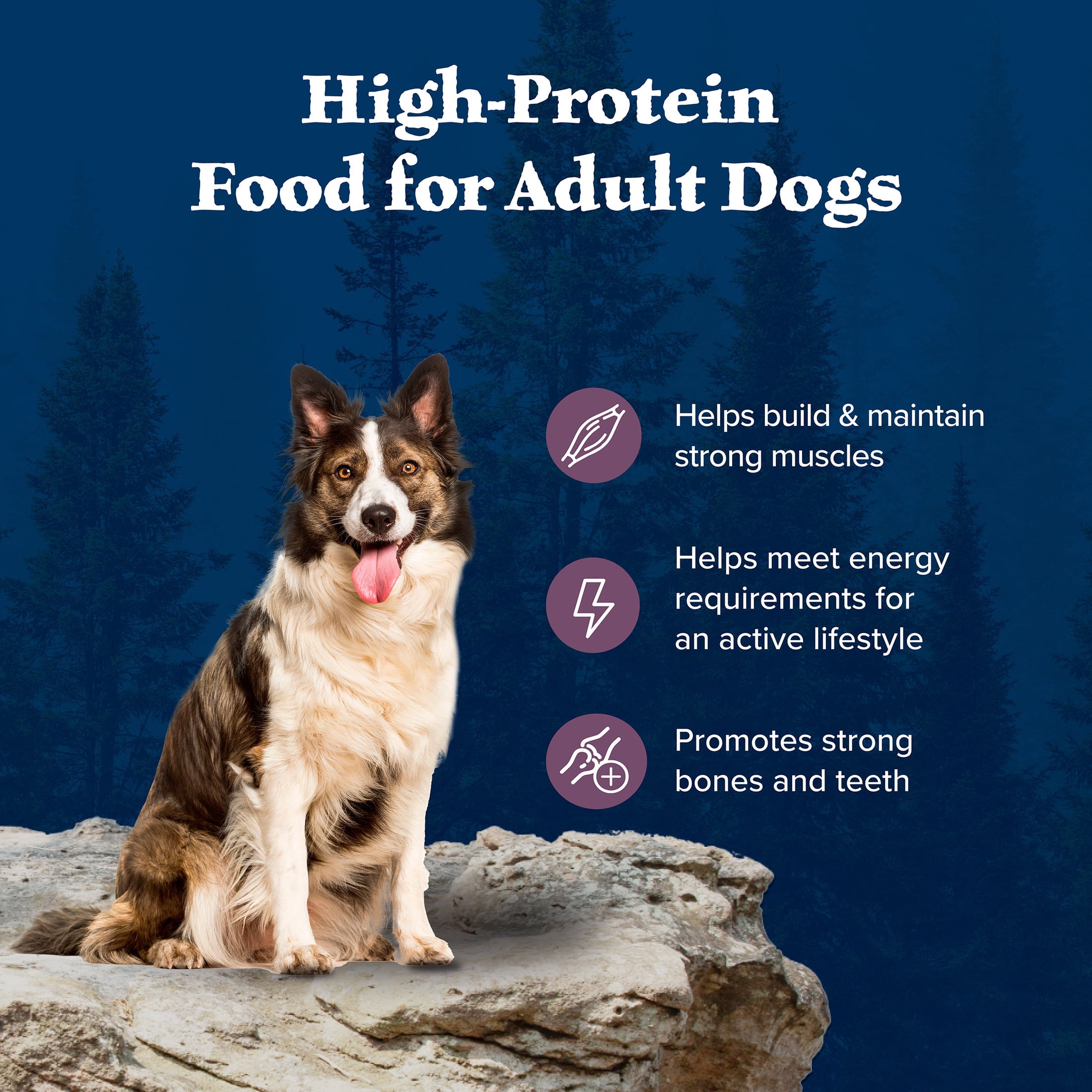 Blue Buffalo Wilderness High-Protein Adult Dry Dog Food, Bison, 22lb Bag - Image 4