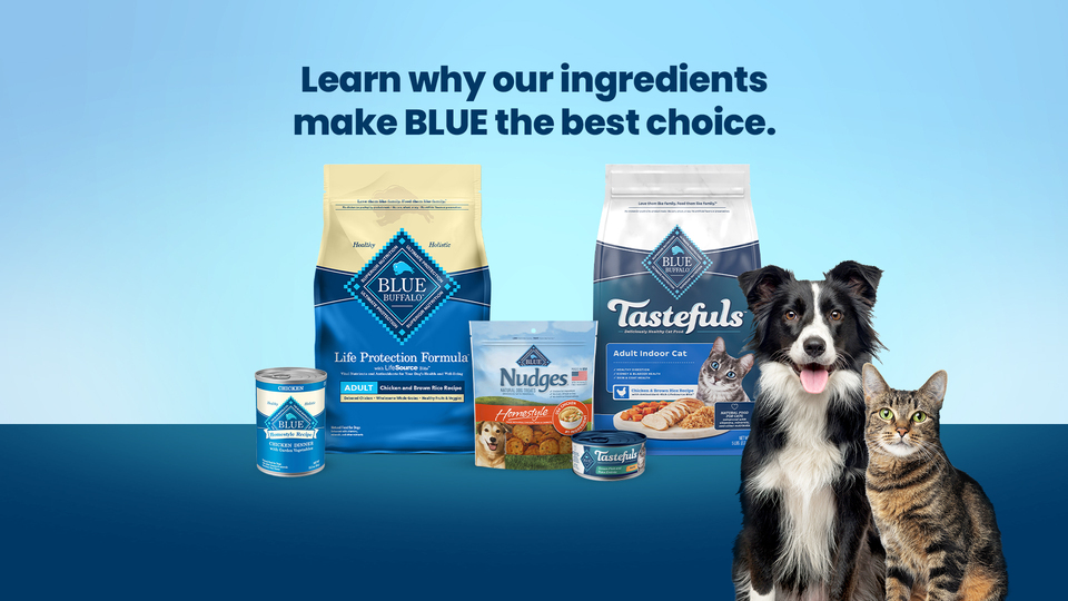 Blue Buffalo Wilderness Natural High-Protein Adult Dog Dry Food, Salmon Recipe, 28-lb Bag - Image 2