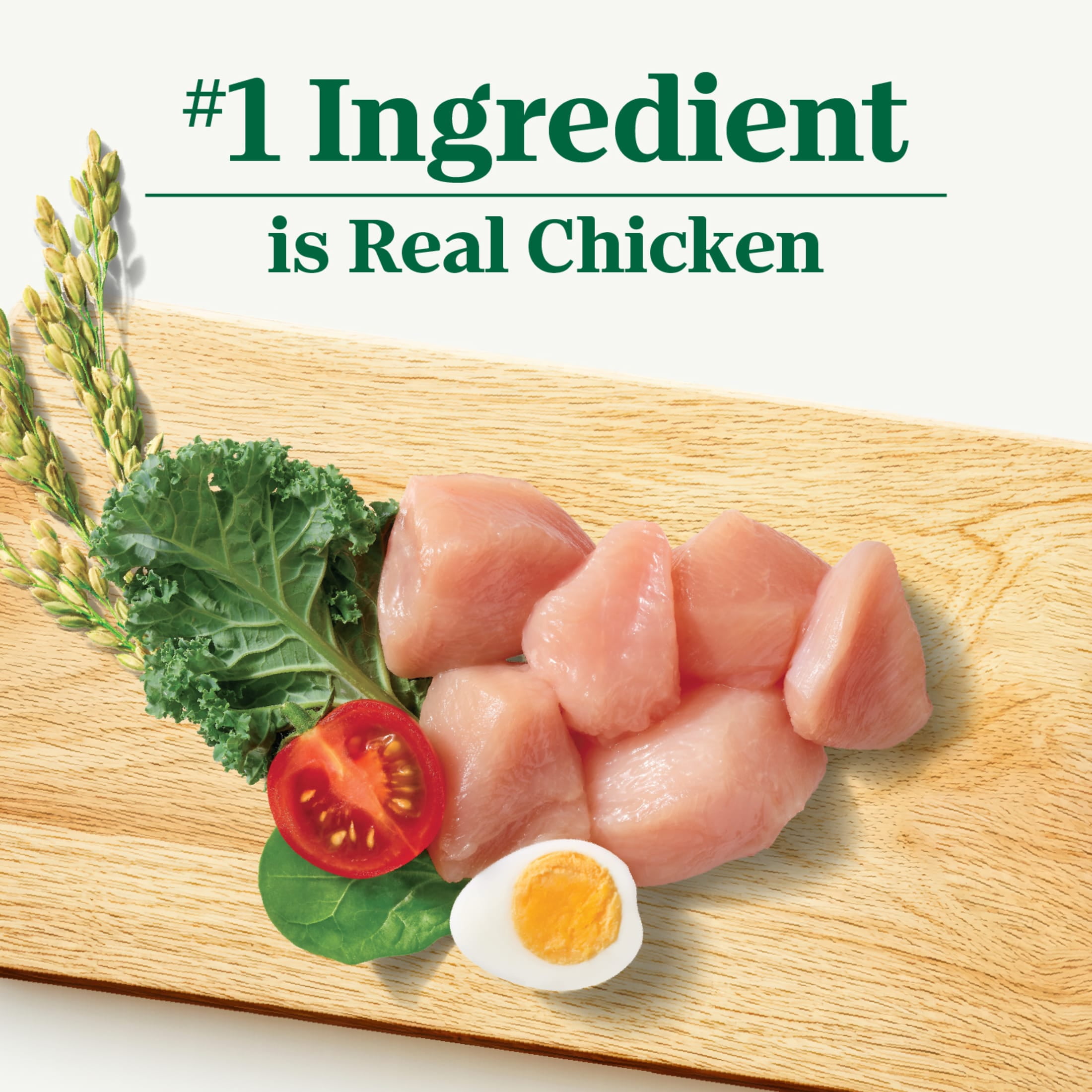 Nutro Natural Choice Adult Healthy Weight Dog Food Recipe Chicken & Brown Rice, 30 Lb Bag - Image 6