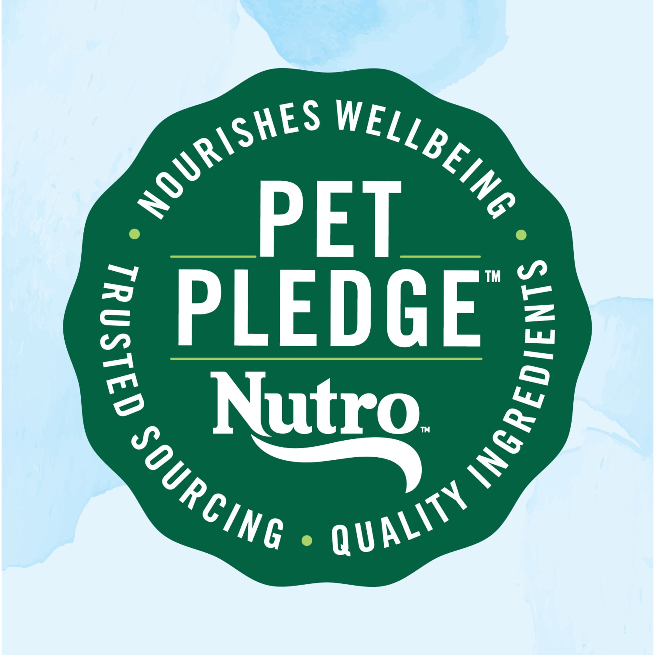 Nutro Limited Ingredient Diet Small Bites Adult Dry Dog Food, Lamb & Sweet Potato Recipe, 22 lbs. - Image 4